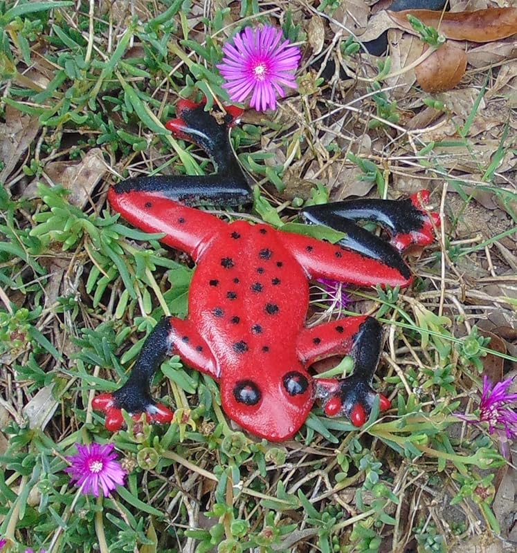 Amazon Com Handmade Red And Black Poison Dart Frog Huge Fused Glass Extra Large Garden Ornament Figurine Handmade Products