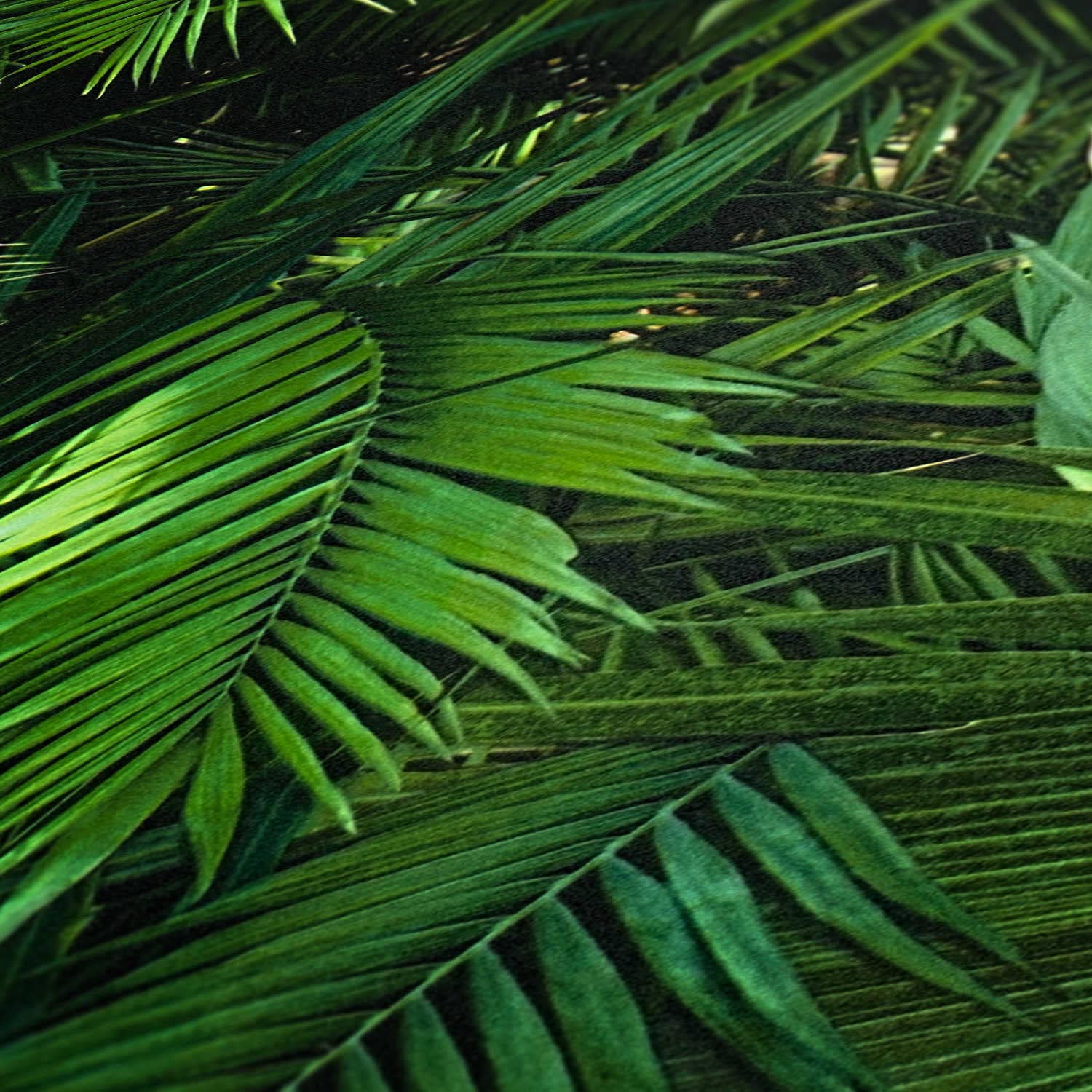 Livingwalls New Bude 2.0 tapeta z nadrukiem palm o wyglądzie dżungli, 10,05 m x 0,53 m, zielono-czarna, Made in Germany 362001 36200-1