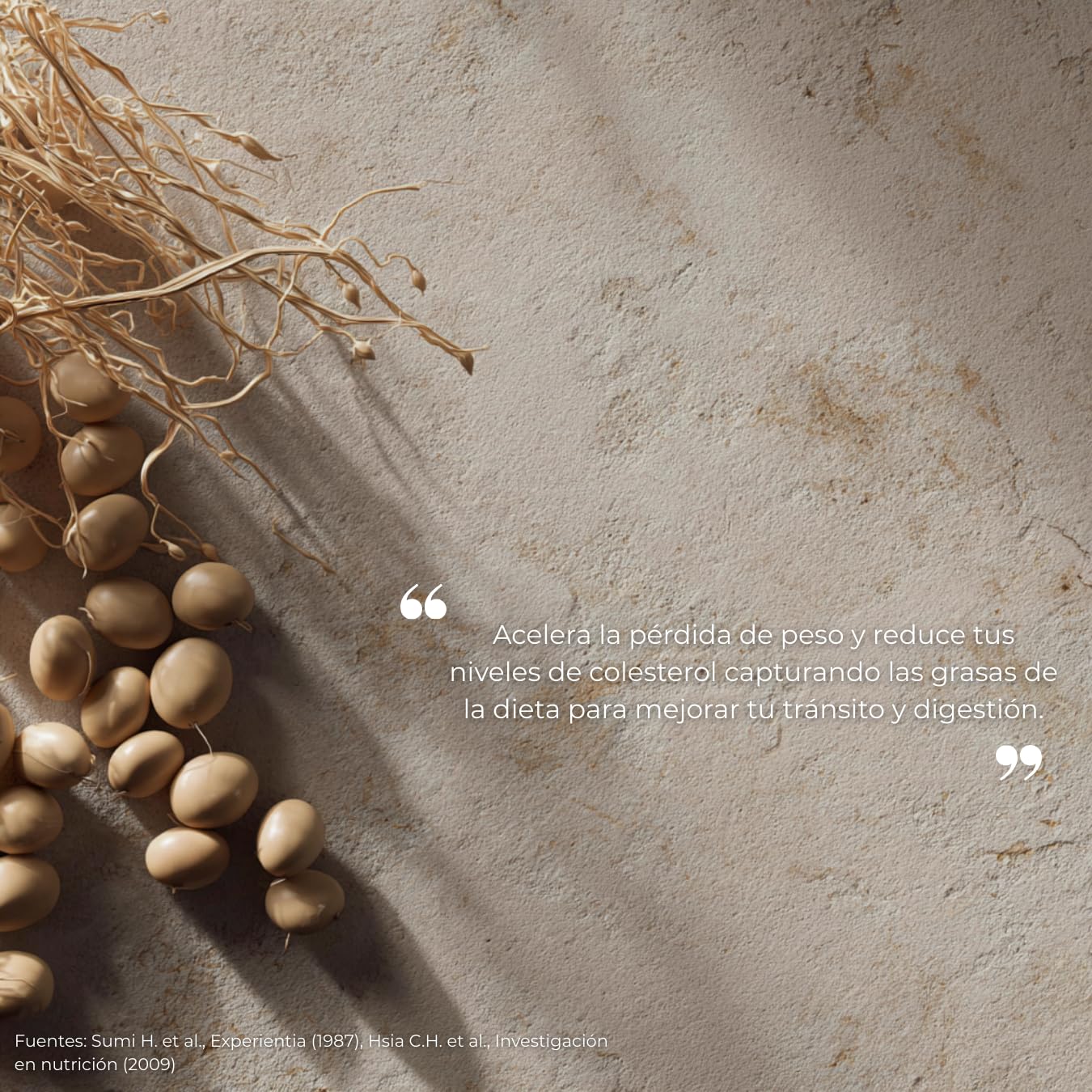 Nattokinasa Alta Potencia – Enzima Natural para Circulación y Salud Cardiovascular – Cápsulas – Fabricado en Francia