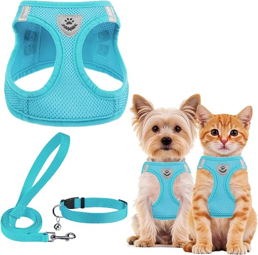 PUPTECK Adjustable Dog Harness Collar and Leash Set Step in No Pull Pet Harness for Small Medium Dogs Puppy and Cats Outdoor Walking Running, Soft Mesh Padded Reflective Vest Harnesses, Turquoise XS