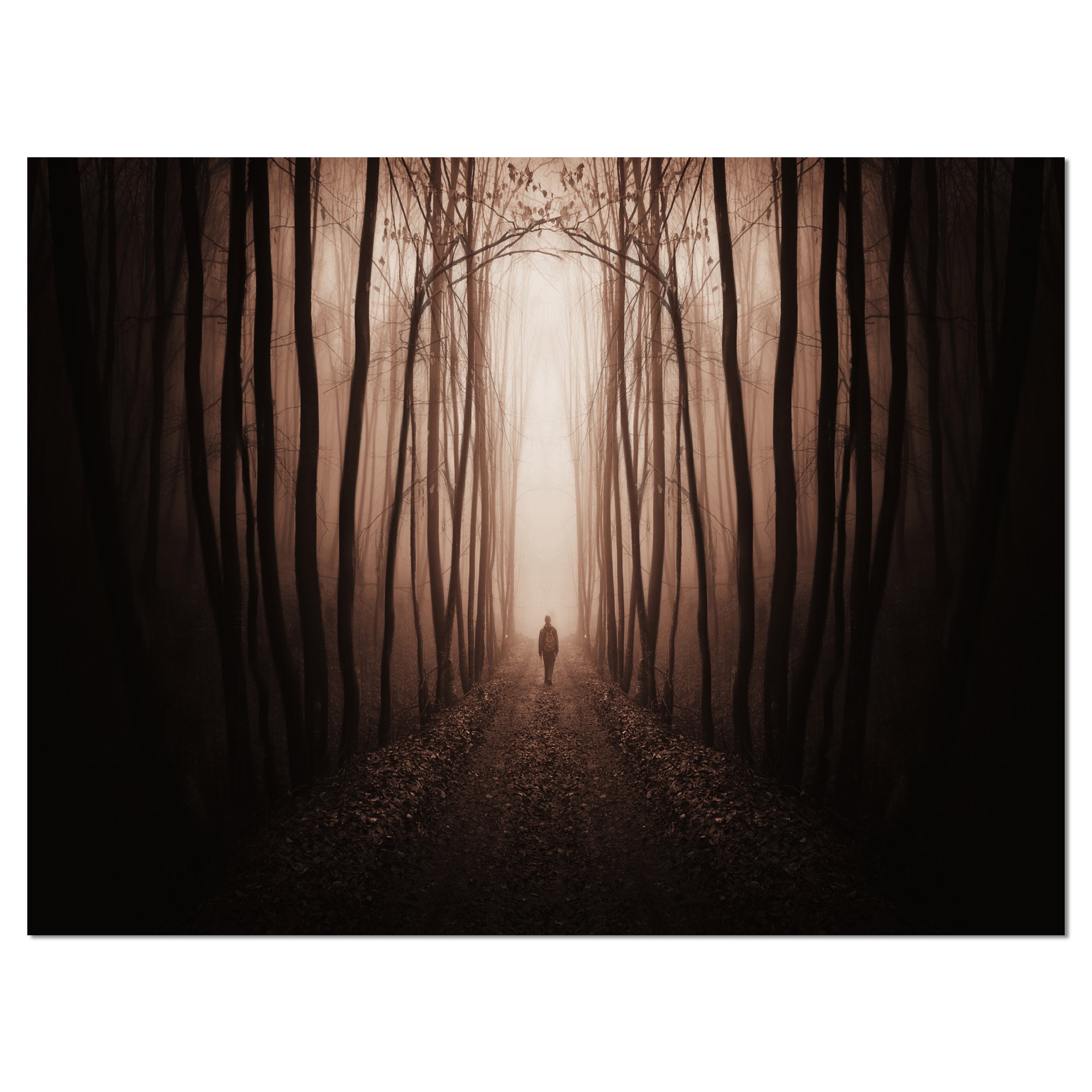 Amazon.com: Designart PT8481-20-12 Man in Surreal Forest with Fog