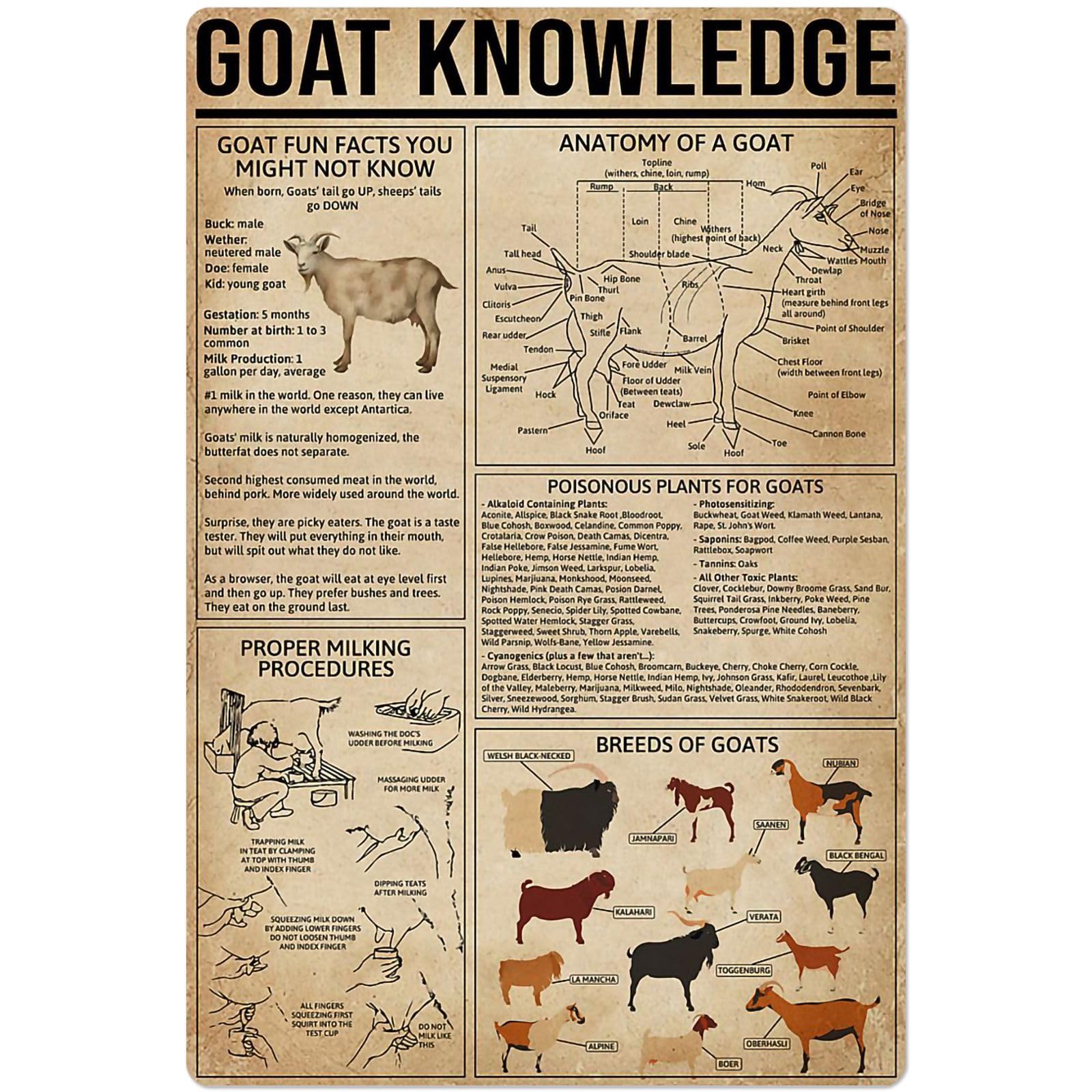 Peiyeety J-19 Goat Knowledge Metal Tin Signs Anatomy Of A Goat Retro Poster Popular Science Educational Charts Wall Plaques Decor For Home Classroom Room Office 12X17 Inch
