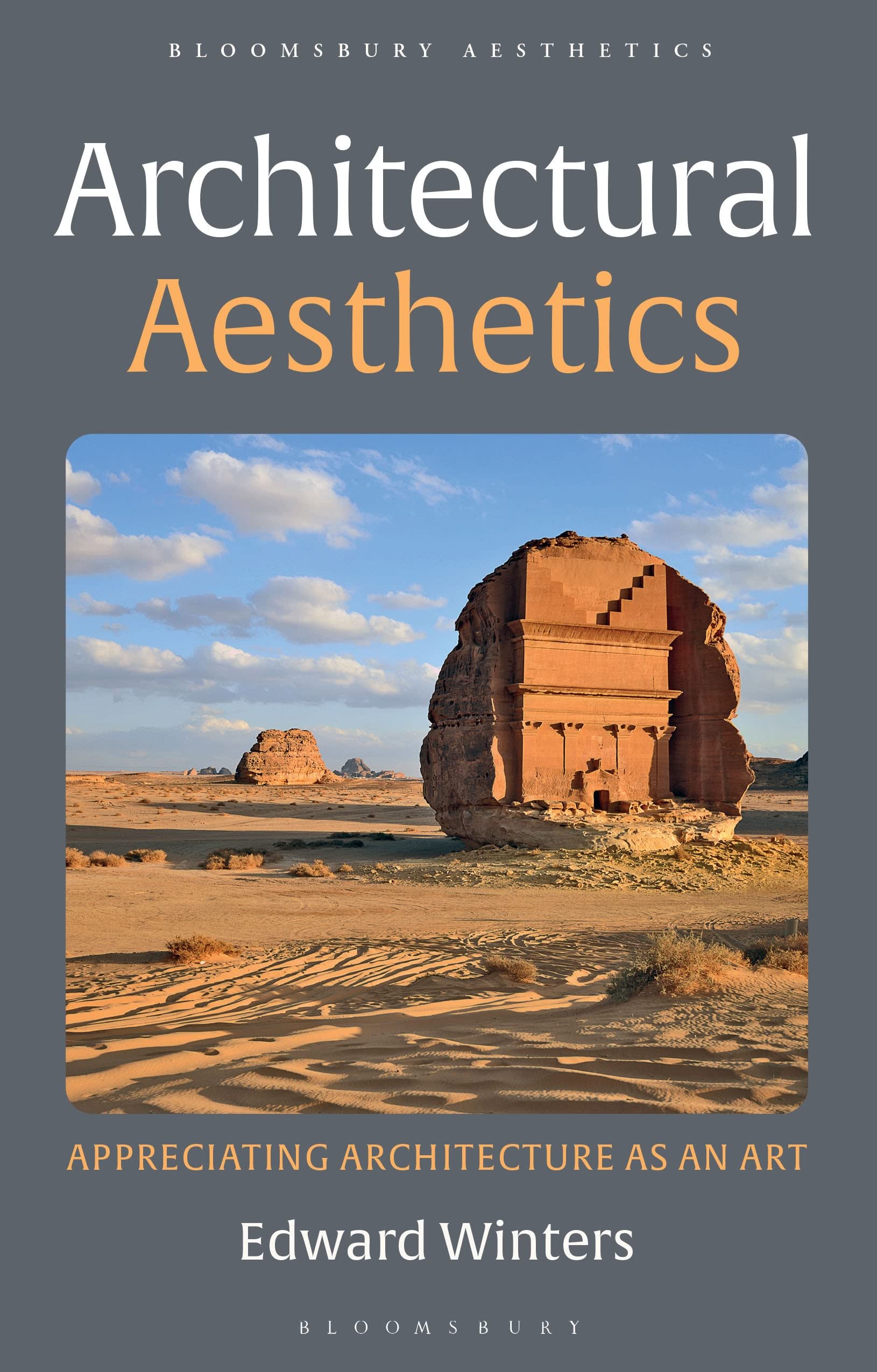 Architectural Aesthetics by Mr Edward Winters PAPERBACK 9781350211001