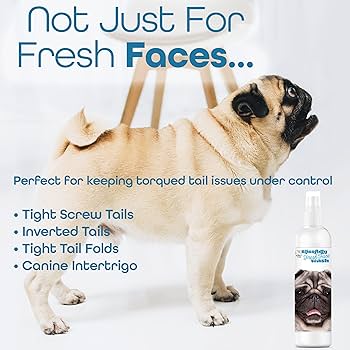 洗顔料 PUG 41EjPkKZniL.jpg_BO30,255,255,