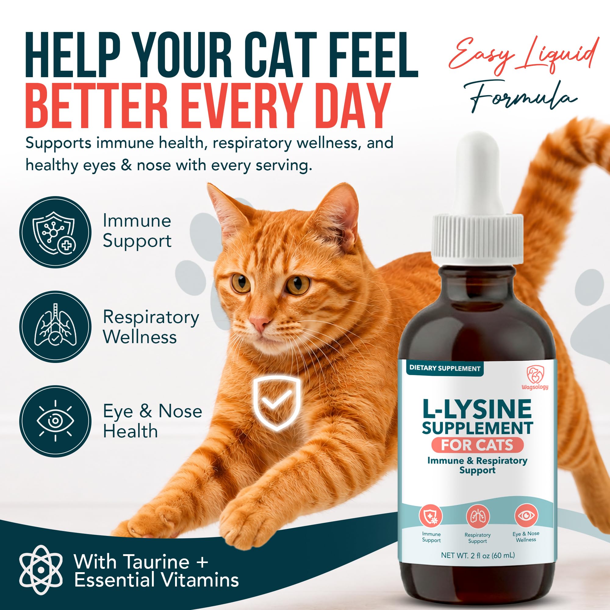 L-Lysine for Cats & Kittens, Cat Lysine Supplement & Cat Allergy Relief for Cats, Immune Support, Respiratory Health, Eye & Nose Wellness, L Lysine Cats Drops, Chicken Flavor (60 ml) — Amazon image 2