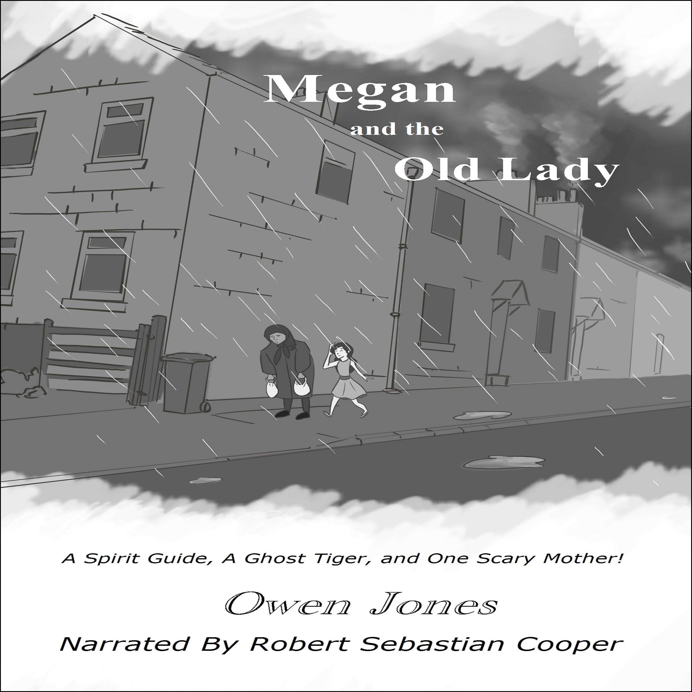 Cover art for Megan and the Old Lady: A Spirit Guide, a Ghost Tiger and One Scary Mother!