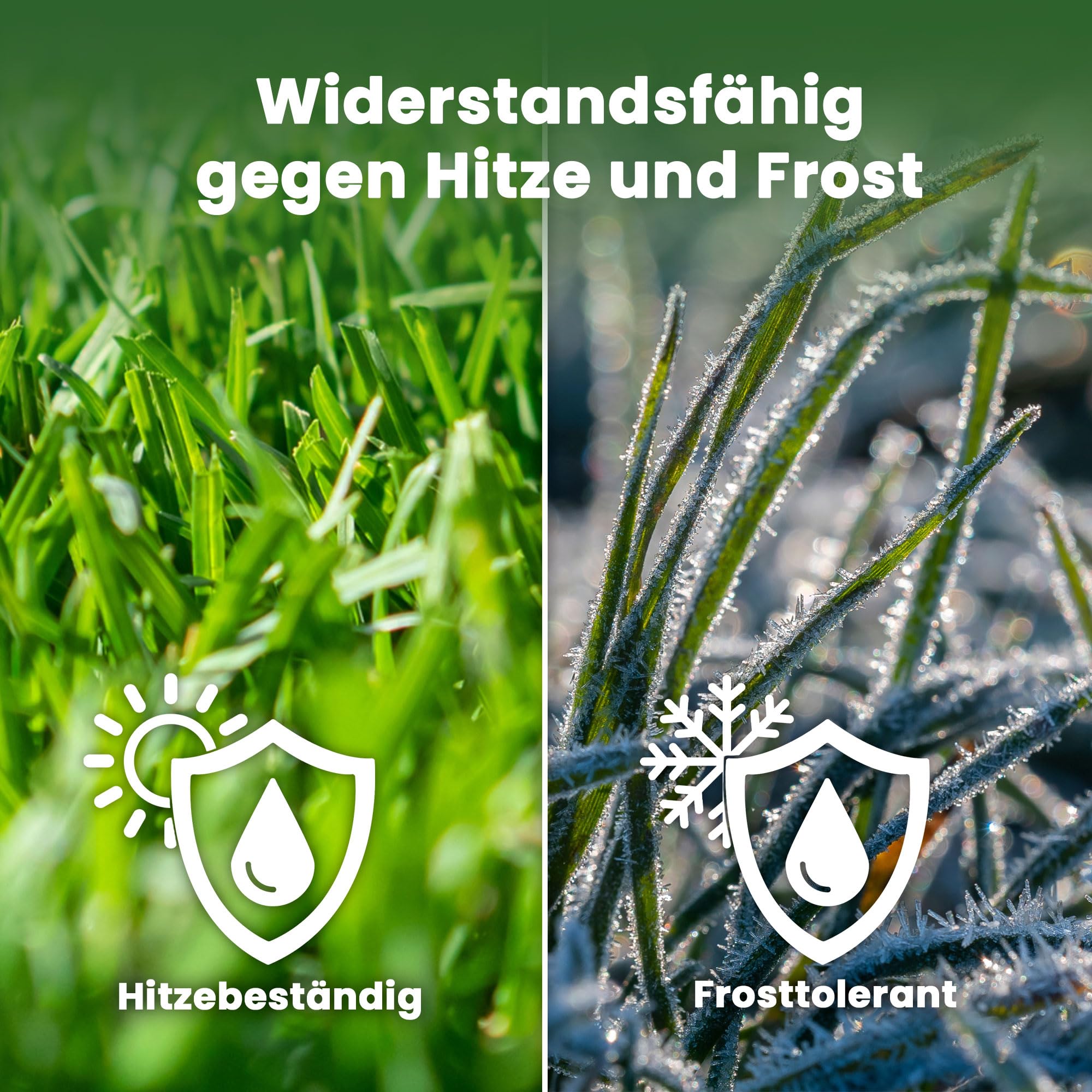 LERAVA® EXPRESS Rasensamen schnellkeimend Frühjahr (30m²) | Grassamen Trockenrasen & Schattenrasen Samen | Sport und Spielrasen Nachsaat | Rasensaat turbo Rasennachsaat schnellkeimend