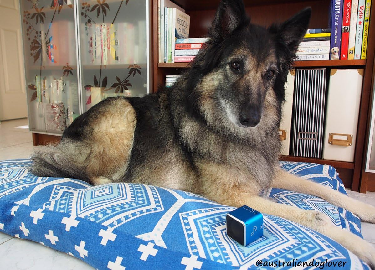 Pet Acoustics SD Card Music Expansion - Canine Calm - Calming Music for Dogs