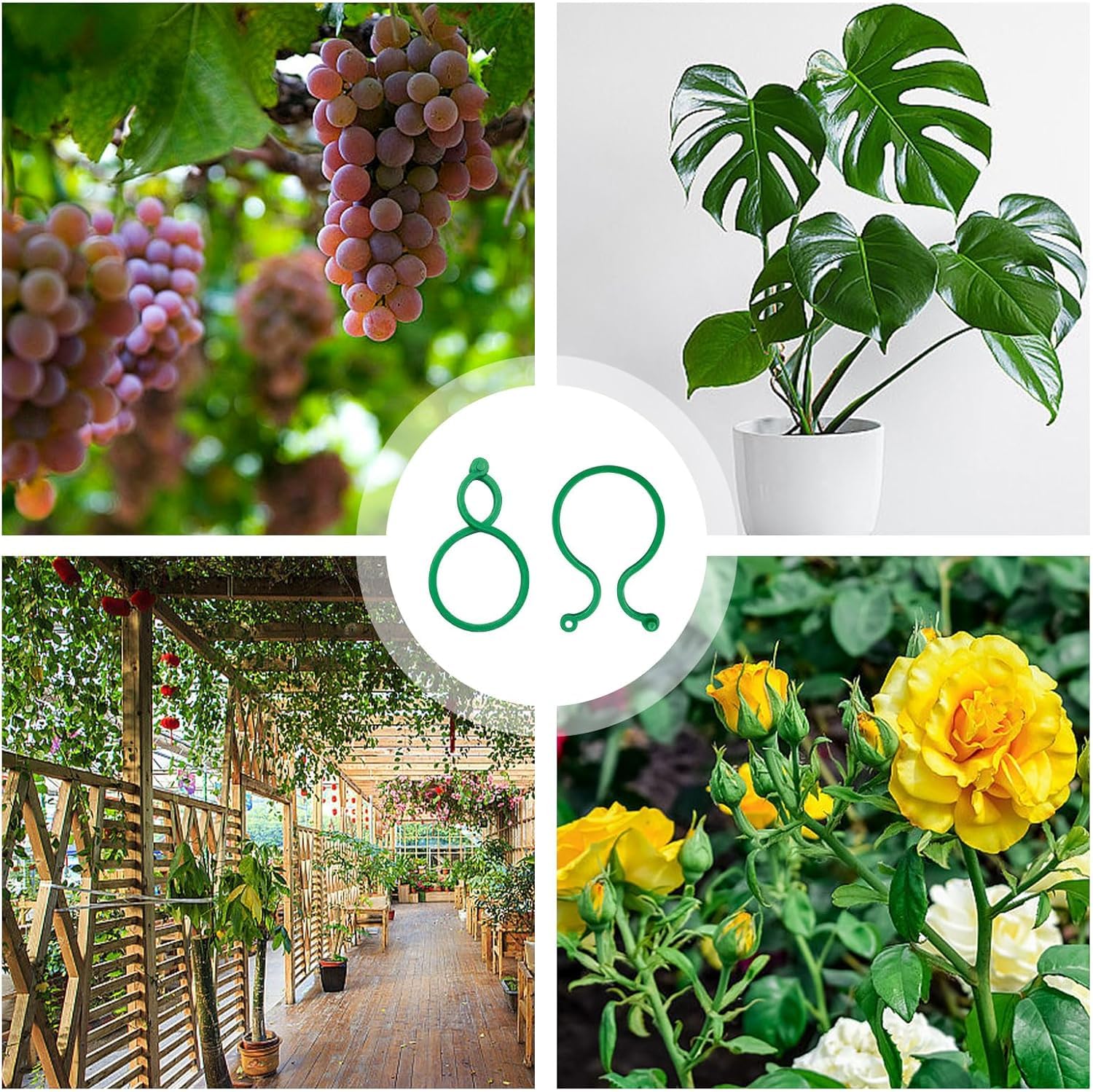 200 Clip Per Piante Hysagtek Verde - Sostegno Per Rampicanti, Pomodori, Fiori, Materiale Plastica Riciclabile - Foto 7