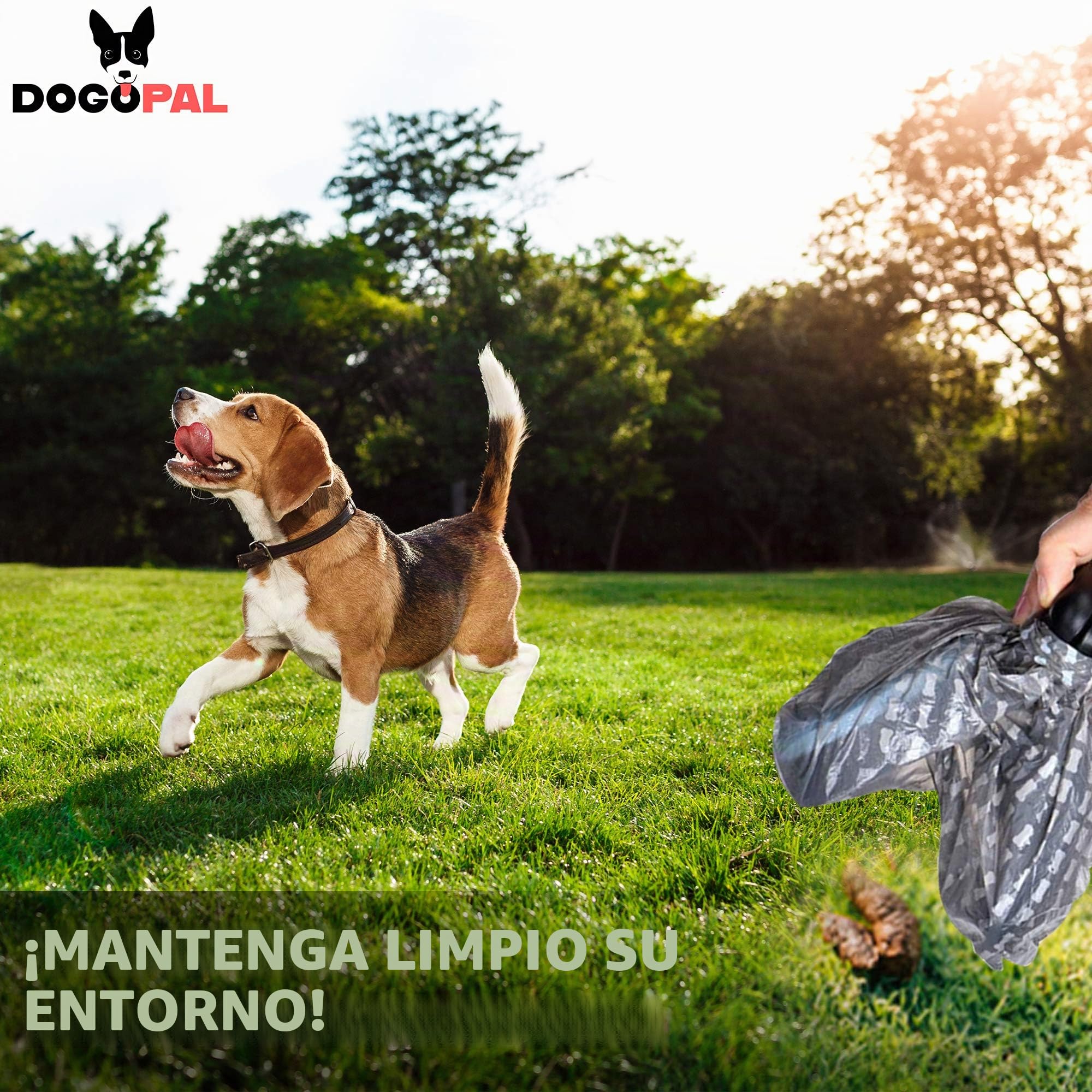 DOGOPAL Recogedor portátil para excrementos – Innovadora Herramienta de Recogida de residuos de Perros sin Contacto para Perros pequeños, medianos y Grandes (Gris, Large)