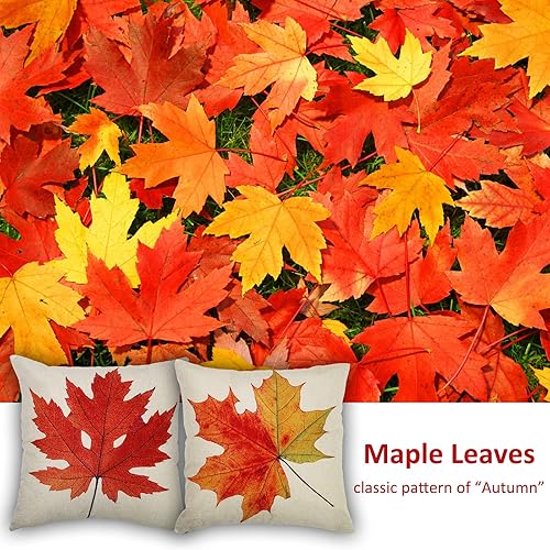 Miniatura 2 de Fundas de almohada de otoño, fundas de almohada de hojas de arce de 18 pulgadas, fundas de almohada decorativas de otoño, paquete de 2 fundas de