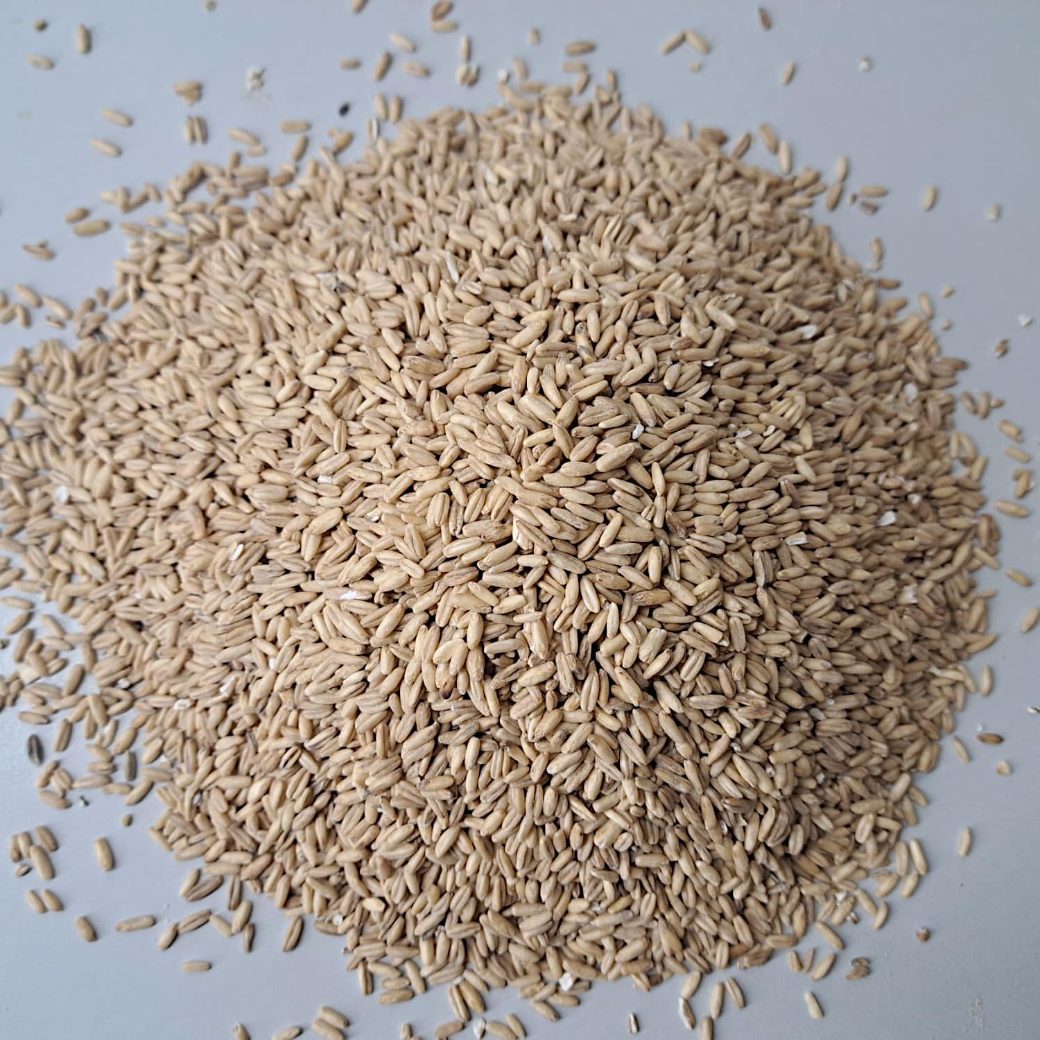 Nackthafer ganzkörnig 25kg von Rätze-Mühle ganze Körner Kerne 100% regional naturbelassen