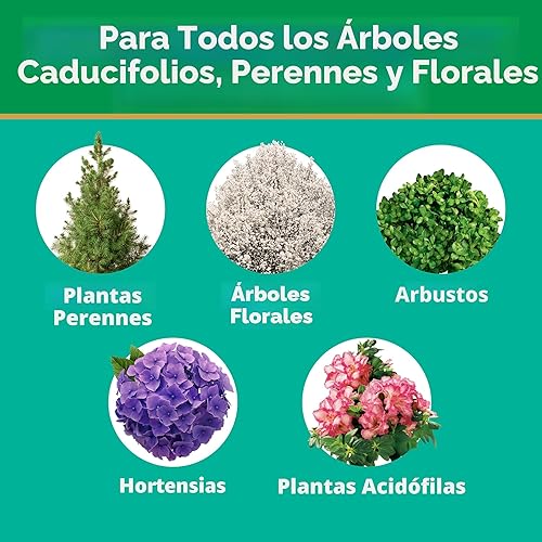 Miniatura 3 de Miracle-Gro Puntas de alimento para plantas de árboles y arbustos, para árboles caducifolios, con flores y siempre verdes, 12 puntas
