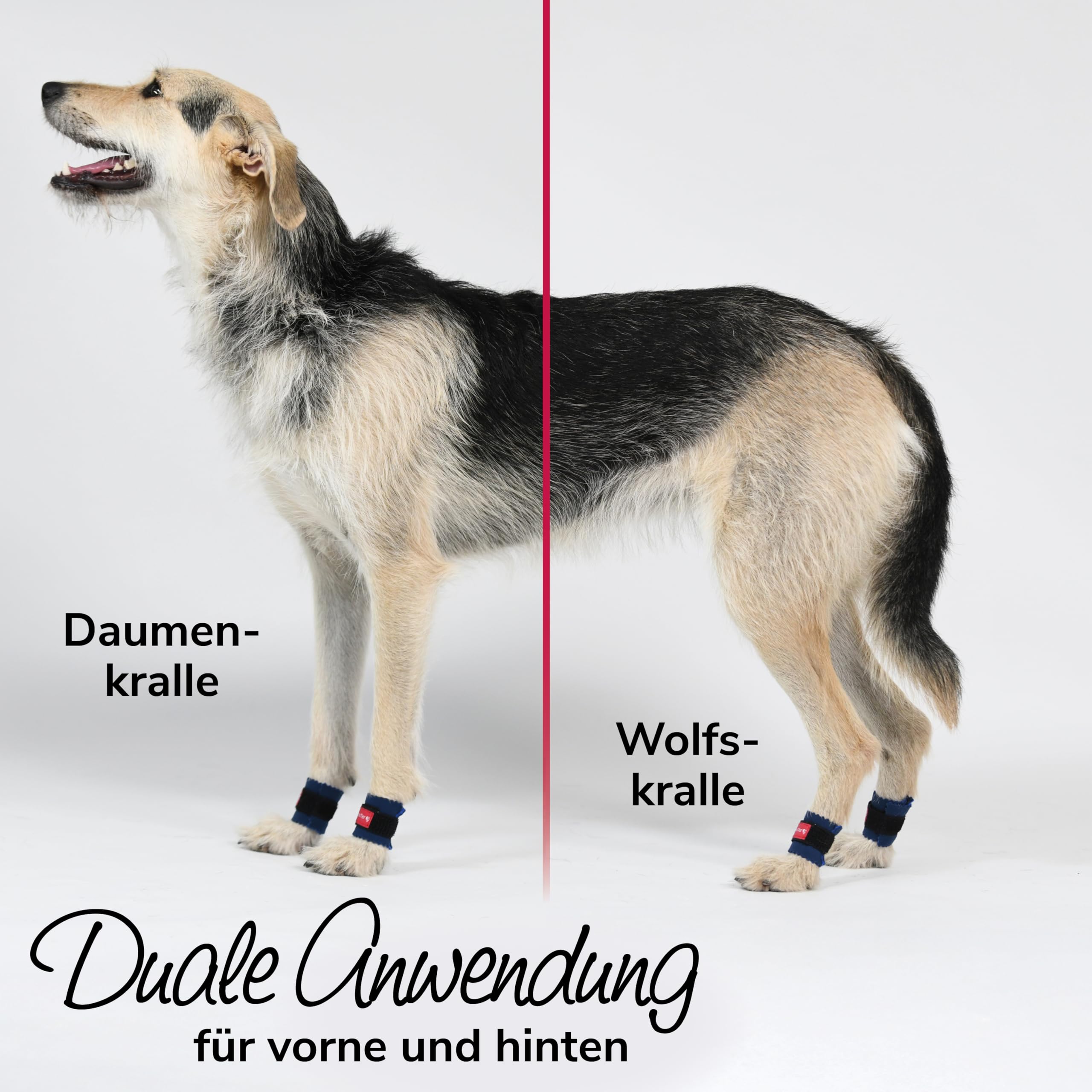 Krallenschutzbandage Gr. M30 für Hunde, Schutz für Wolfs- und Daumenkralle, doppelseitiges Fleece, für Hundesport, Jagd & Agility