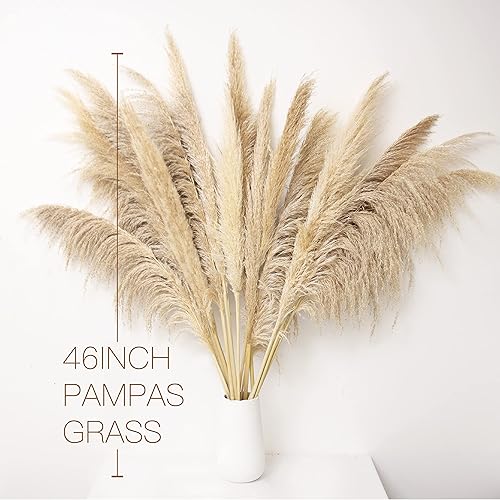 Miniatura 2 de Decoración de hierba de las pampas grande de 46 pulgadas, 12 tallos de hierba natural seca de las pampas a granel, hierba alta de las pampas para