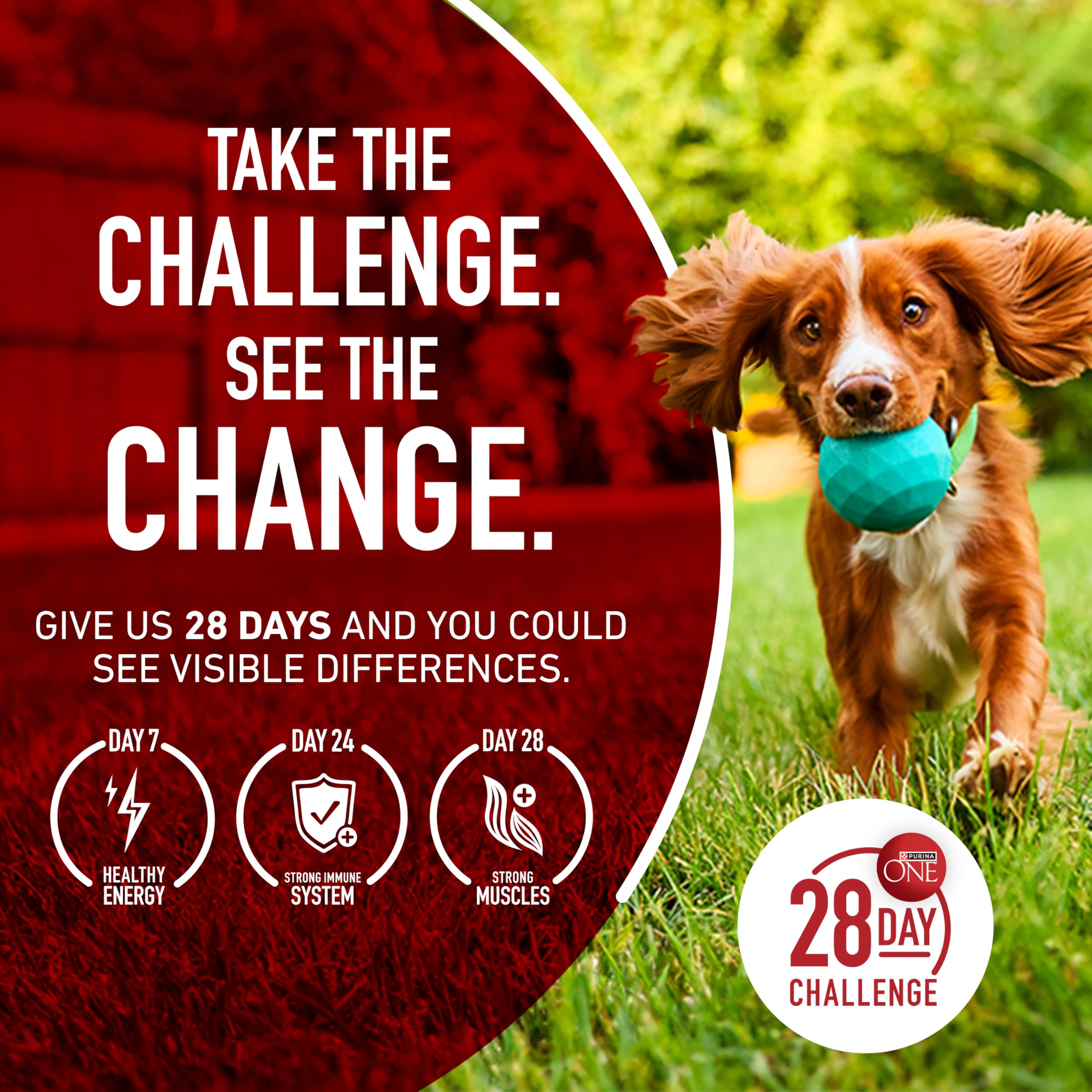 Purina ONE SmartBlend - Comida para Perros Secos
