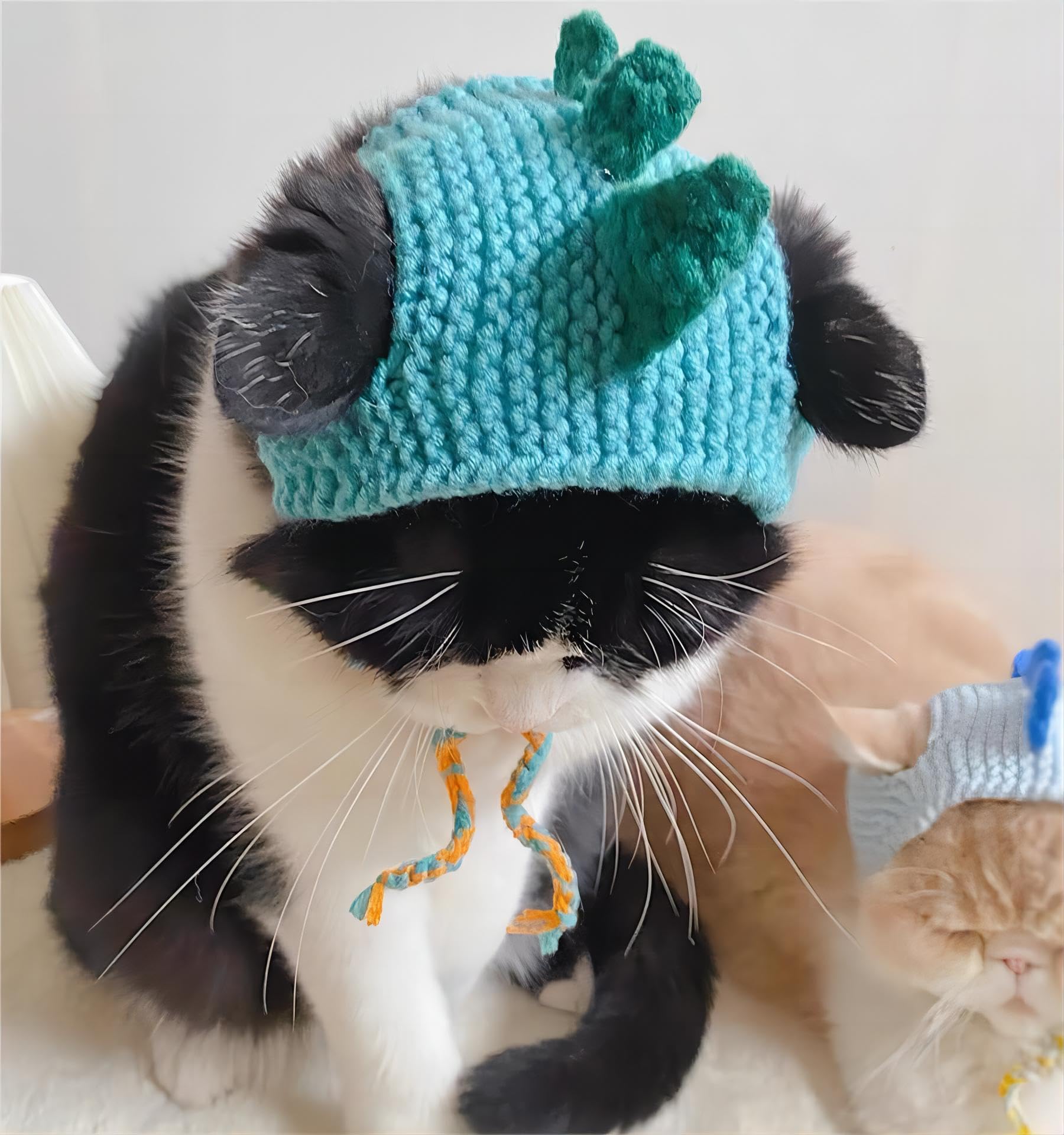 MITOCAPY Cat Costume,Green Dinosaur Handmade Knitted Dog Birthday Hat,Outfit for Cats,Adjustable Cute Hats for Small Dogs,Party,Birthday,Outdoor