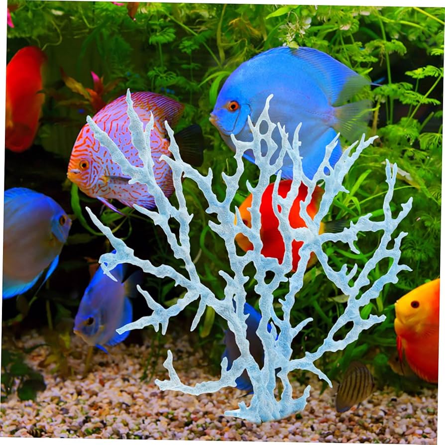 水槽　サンゴ礁 37【海水水槽🔰】サンゴ水槽とニモ水槽の現在 - YouTube