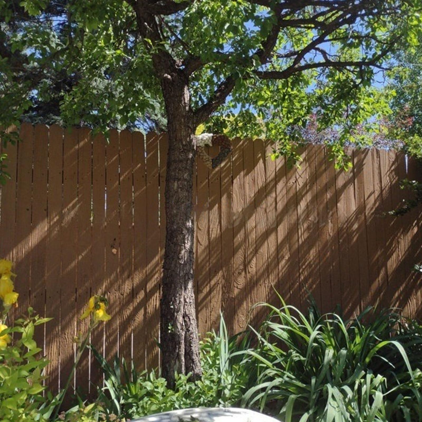 Nido de hierro para pájaros silvestres, corazón, refugio para pájaros silvestres, decoración de jardín, patio, recargable, con fibra de algodón, fácil de colgar, decoración de vida silvestre