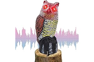 Hausse Solar Fake Horned Owl Statue: Motion-Activated Bird Deterrent Scarecrow