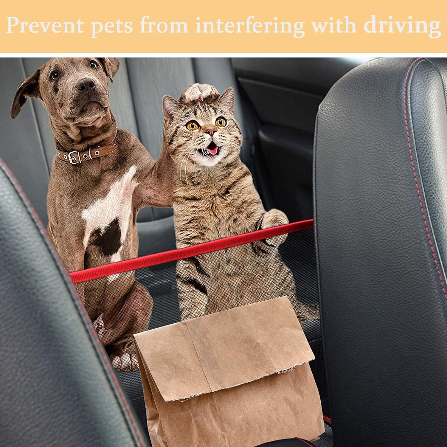 Winbao Handbag Storage Holding Documents Photo