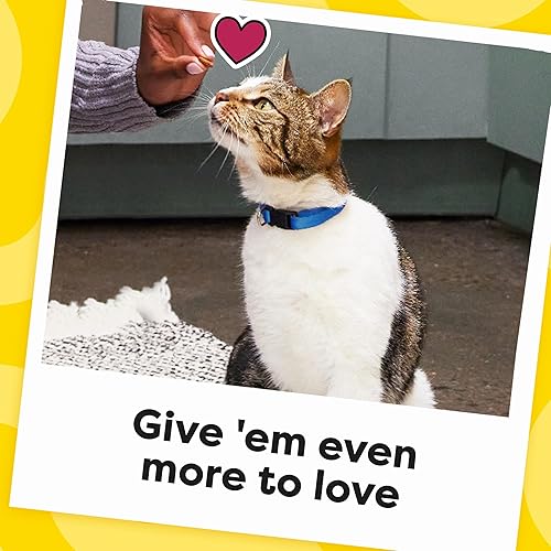 Miniatura 10 de Temptations Jumbo Stuff - Bocadillos crujientes y suaves para gato sabor salmón delicioso, cubo de 14 onzas