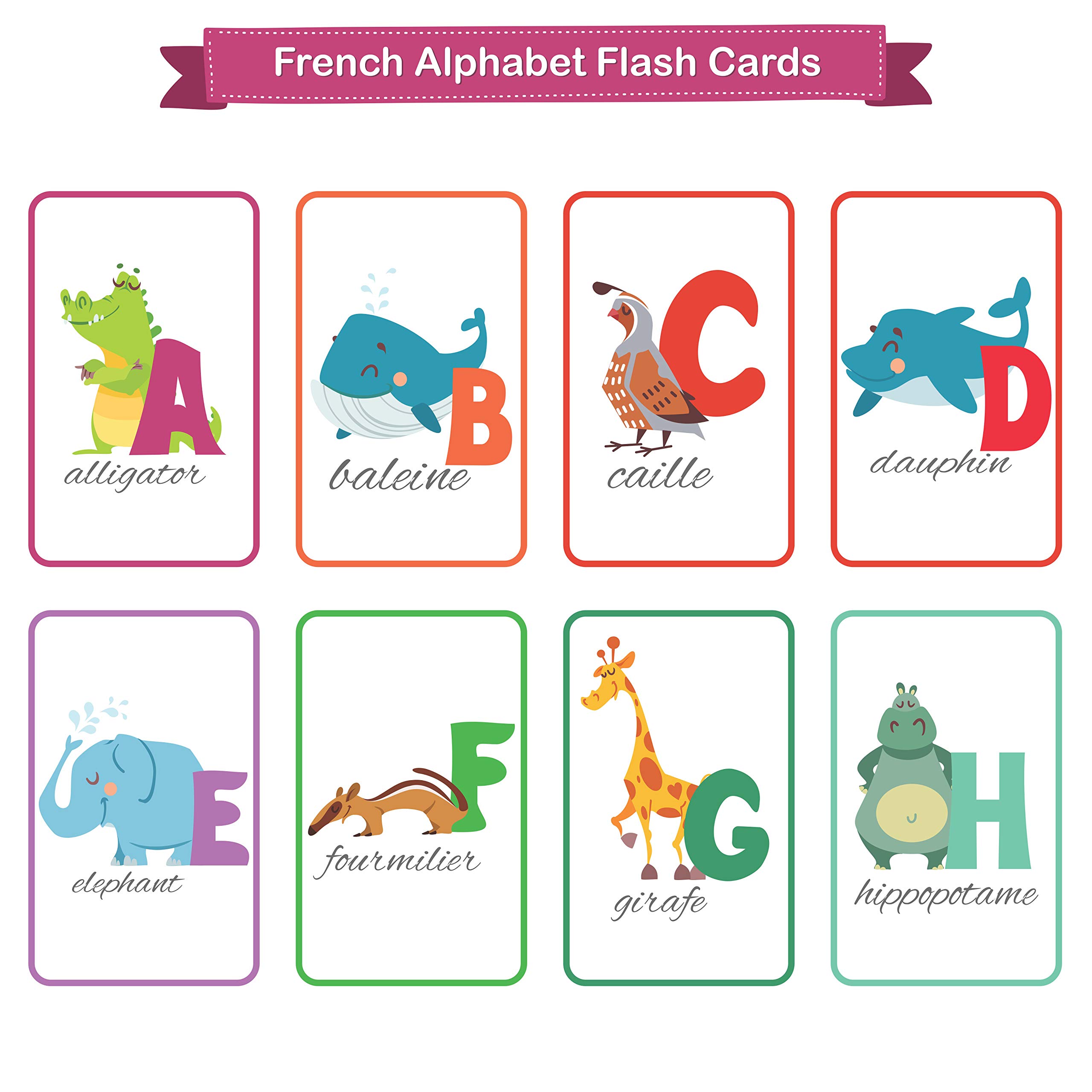 KIDSVILLE French Alphabets, Cursive Alphabets, Action Verbs, Country Cards, Waterproof Flash Cards (3.5 inch x 5.5 inch, Multicolored) (French Alphabets) 4