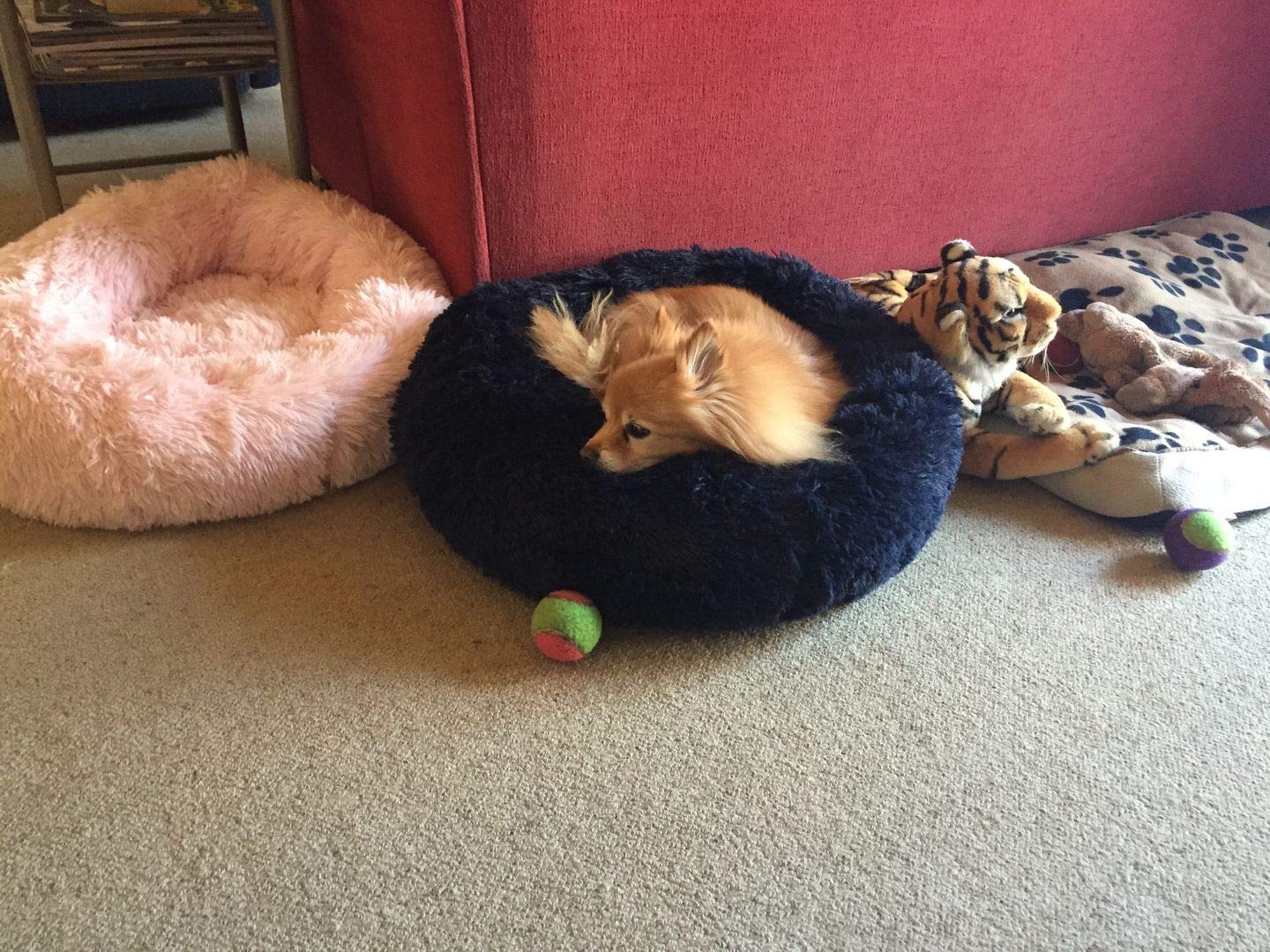 dog bed cat bed bed for dog dog beds puppy bed dogs beds dogs bed bed for cats cats bed beds for dogs puppy beds for dogs dog sleeping bed shih tzu bed pet beds pet bed for dogs dog sofa dog bed large dog mattress beds for dog dog bed large size dog  (B08FXJ8QTB) Amazon Price History, Amazon Price Tracker