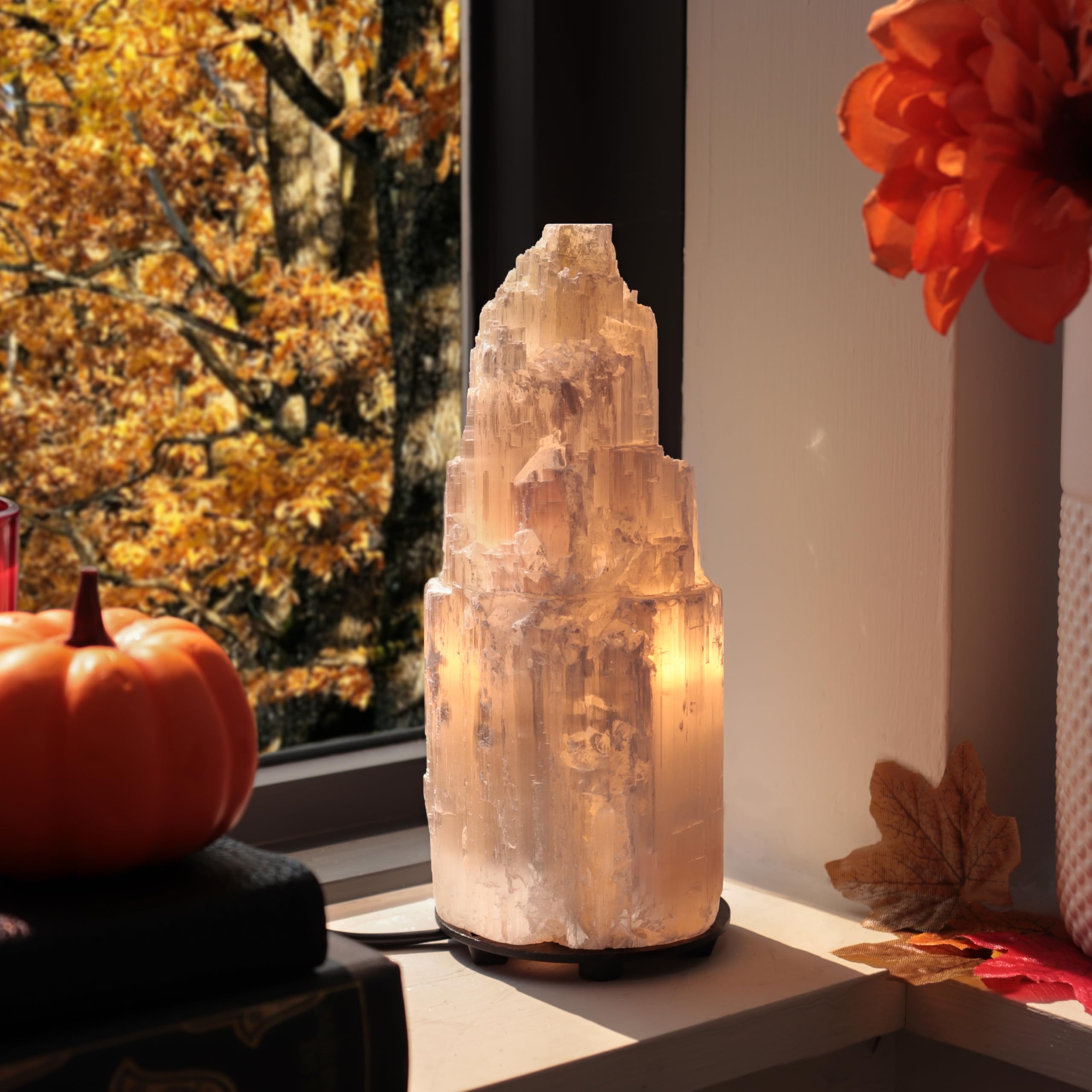 Crystal Hideaway Selenite Crystal Lamp Natural Selenite (4 to 6 lbs) from Morocco