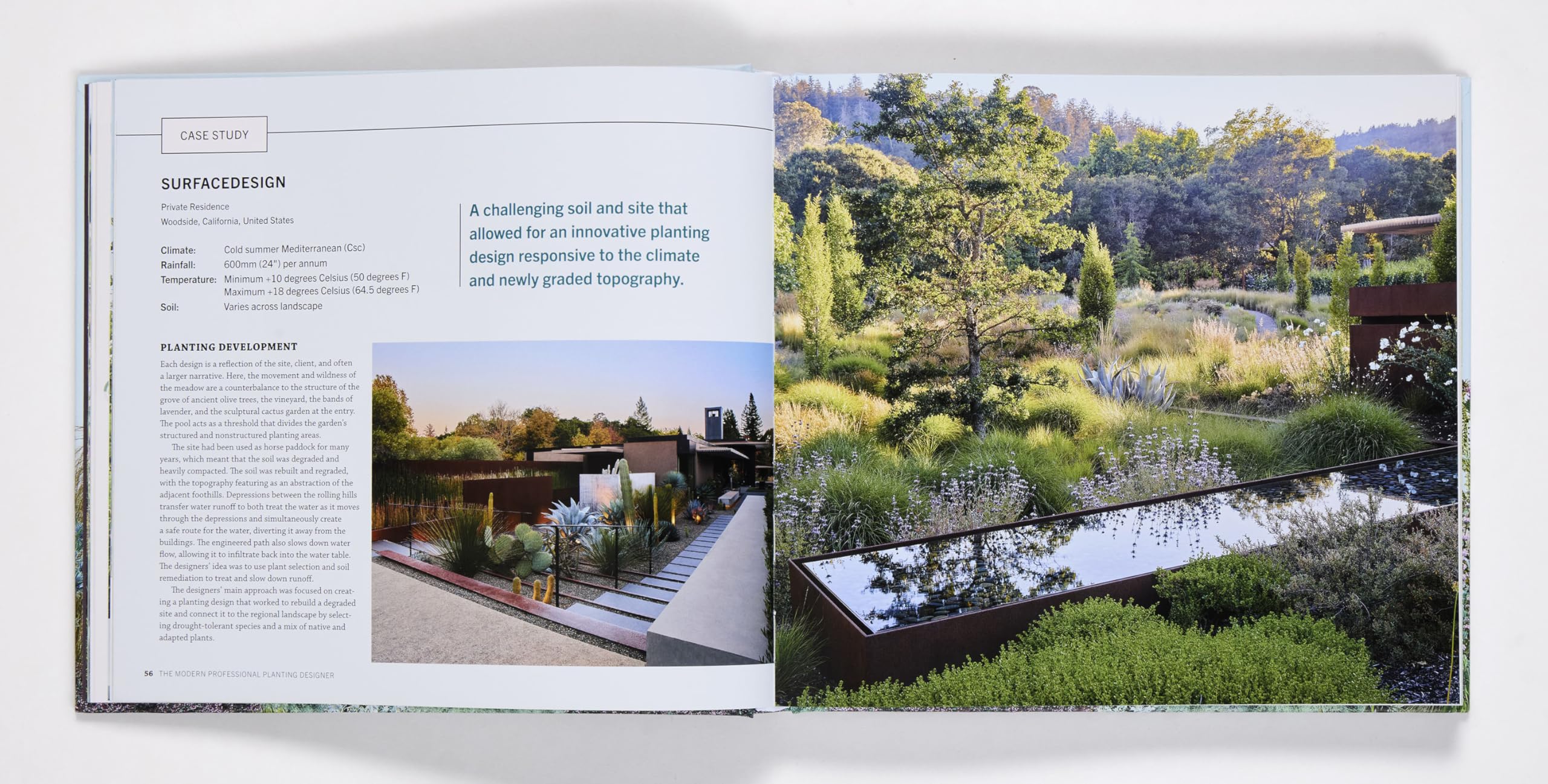 The Modern Professional Planting Designer
