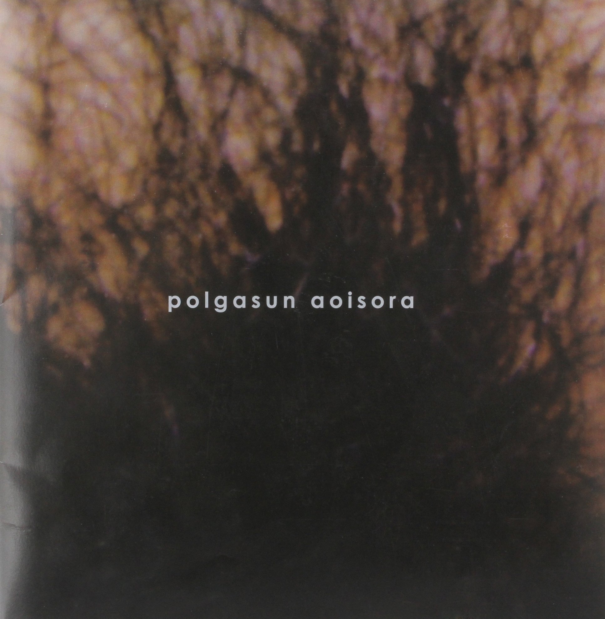Polgasun Aoisora Paperback - June, 2006 Sora Aoi