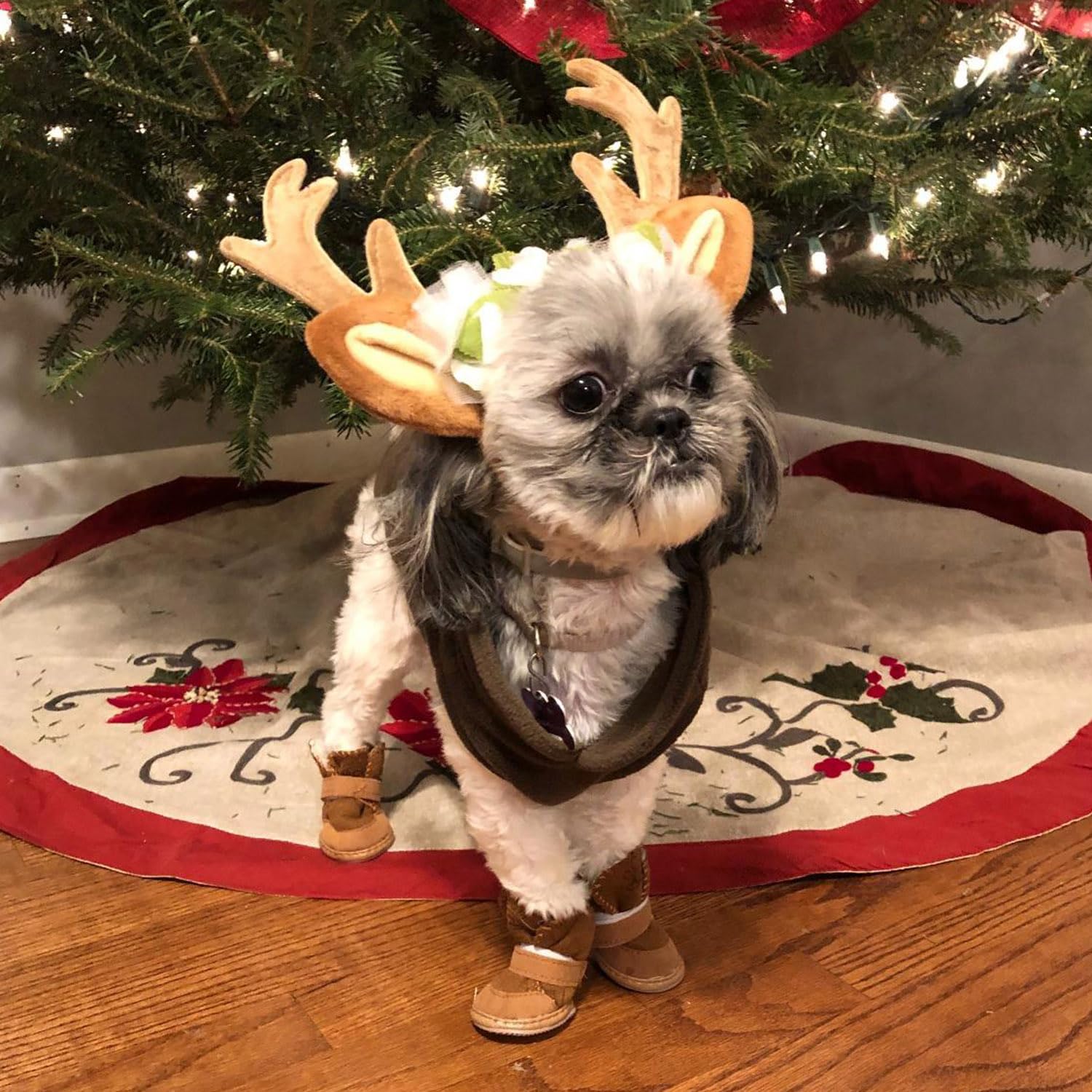 Gebreide muts met dreadlocks voor honden, wintermuts voor honden, coole kattenhoofddeksels, puppykostuum, cosplay-hoed, feestaccessoires voor Kerstmis, huisdier, verjaardag, vakantie