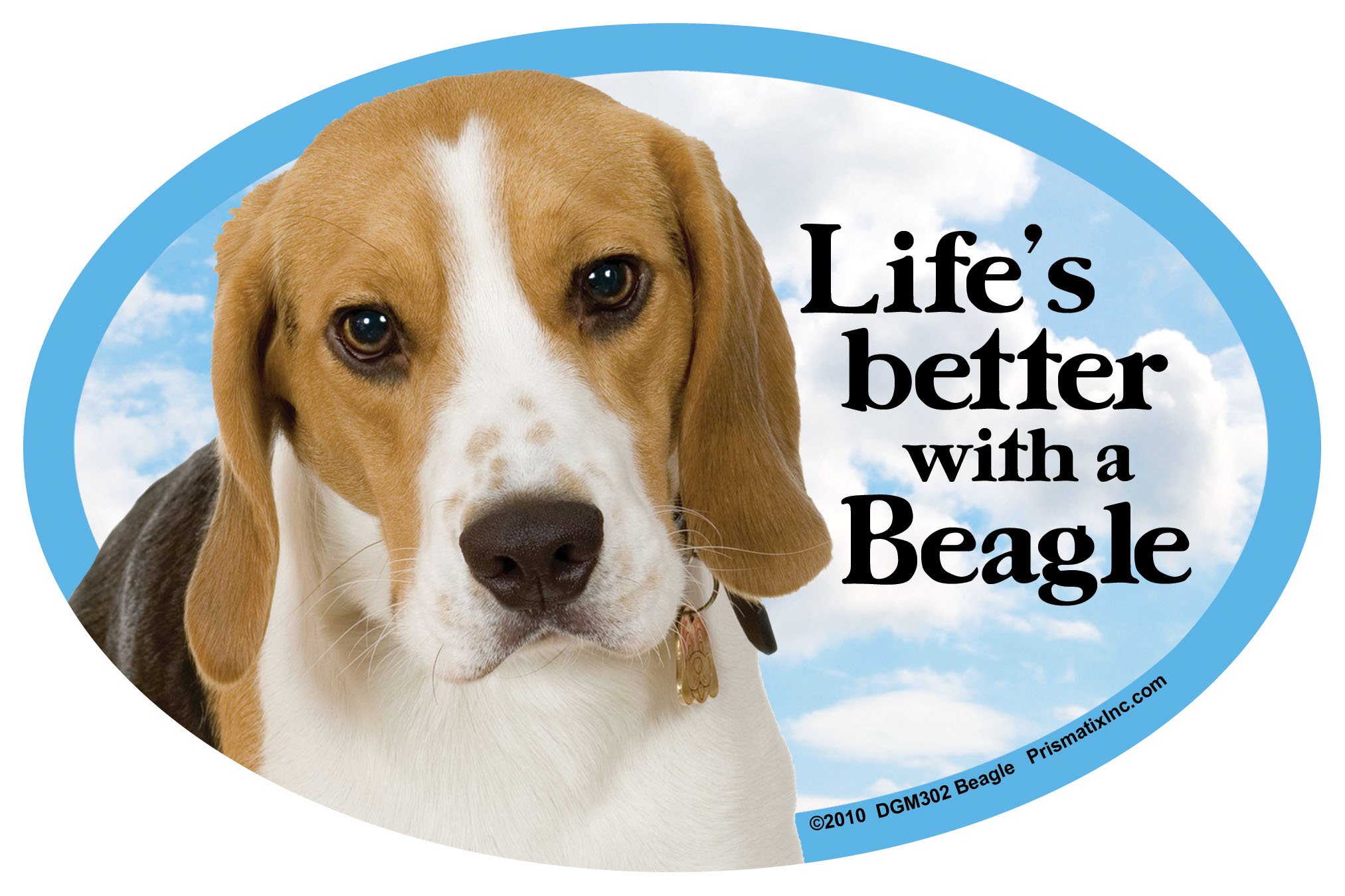 Fridge Magnets Beagle Hound Gift - Life's Better - Large Fun Flexible Size 6.25" X 4.25"