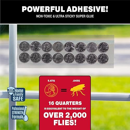 Miniatura 8 de Catchmaster Trampas para moscas para ventana, paquete de 12 unidades, XL, trampas para moscas de frutas para interiores, atrapador de insectos