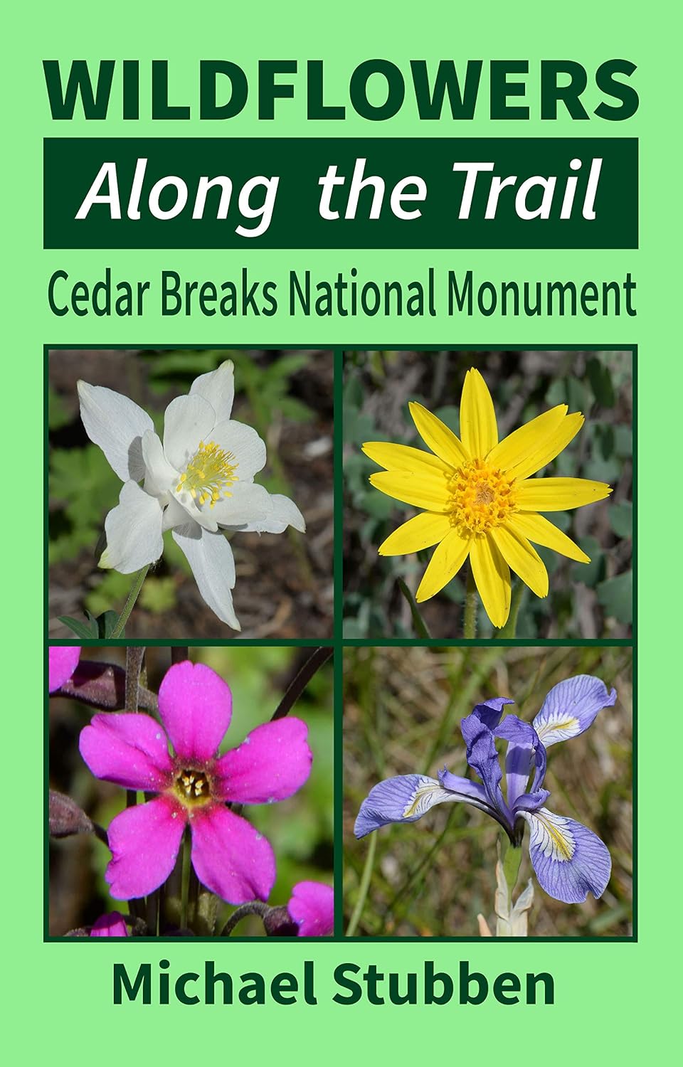 Wildflowers Along the Trail: Cedar Breaks National Monument