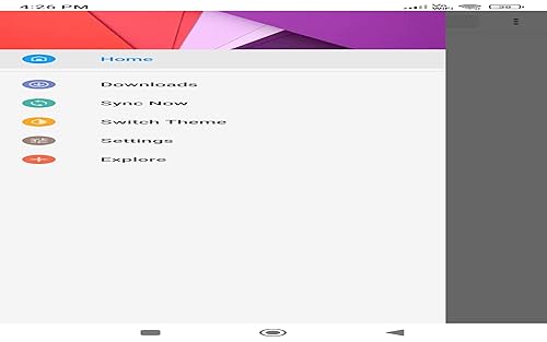 Vegetable Price 2024