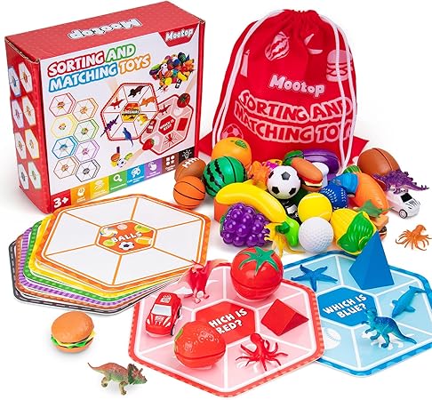Sorting Toys for Toddlers, Match Card & Sort Game Set, Sensory Toys, Multiple Themes Fine Motor Sorting Games, Preschool Educational Learning Toys Sorting Matching Playset for Boys and Girls