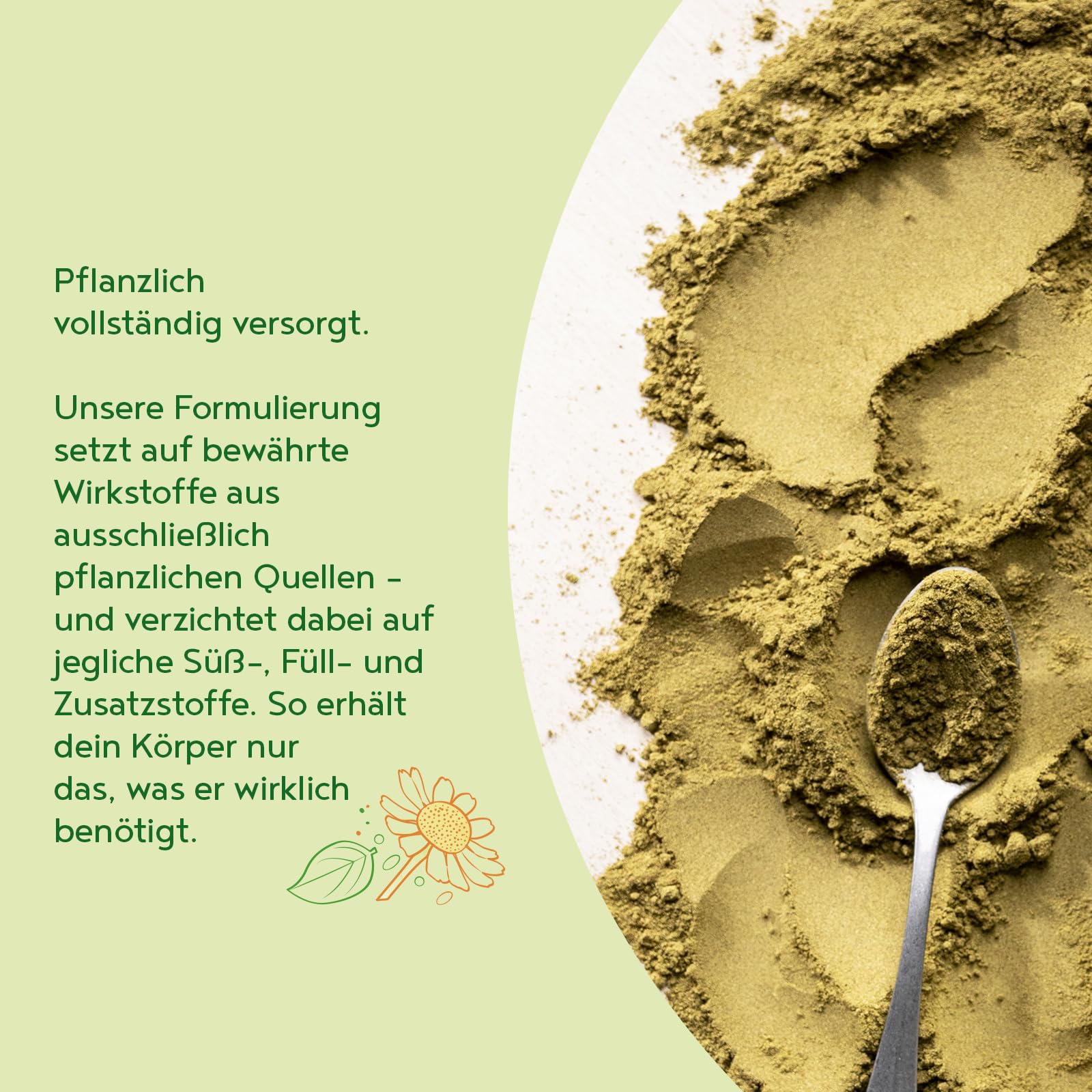 Leber Komplex Elixier 2.0 | 300g Vegan Pulver | Leberkur mit Weizengras, Spirulina, Cholin, Gerstengras, Brennnessel, Mariendistel, Löwenzahn, Chlorella | Alpha Foods