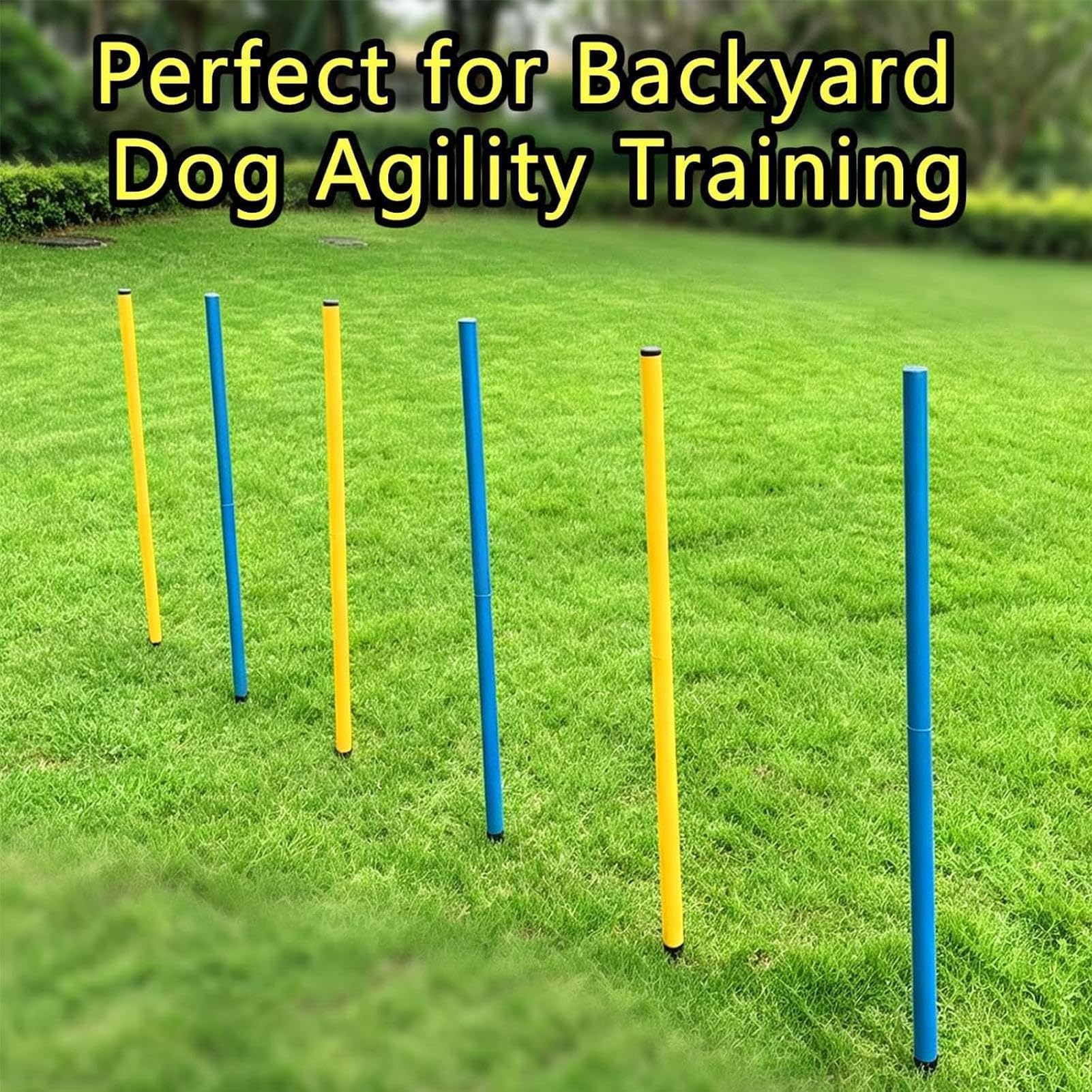 Hunde Agility Ausrüstung 6 Stück Stabile Verstellbare Agility Slalomstangen