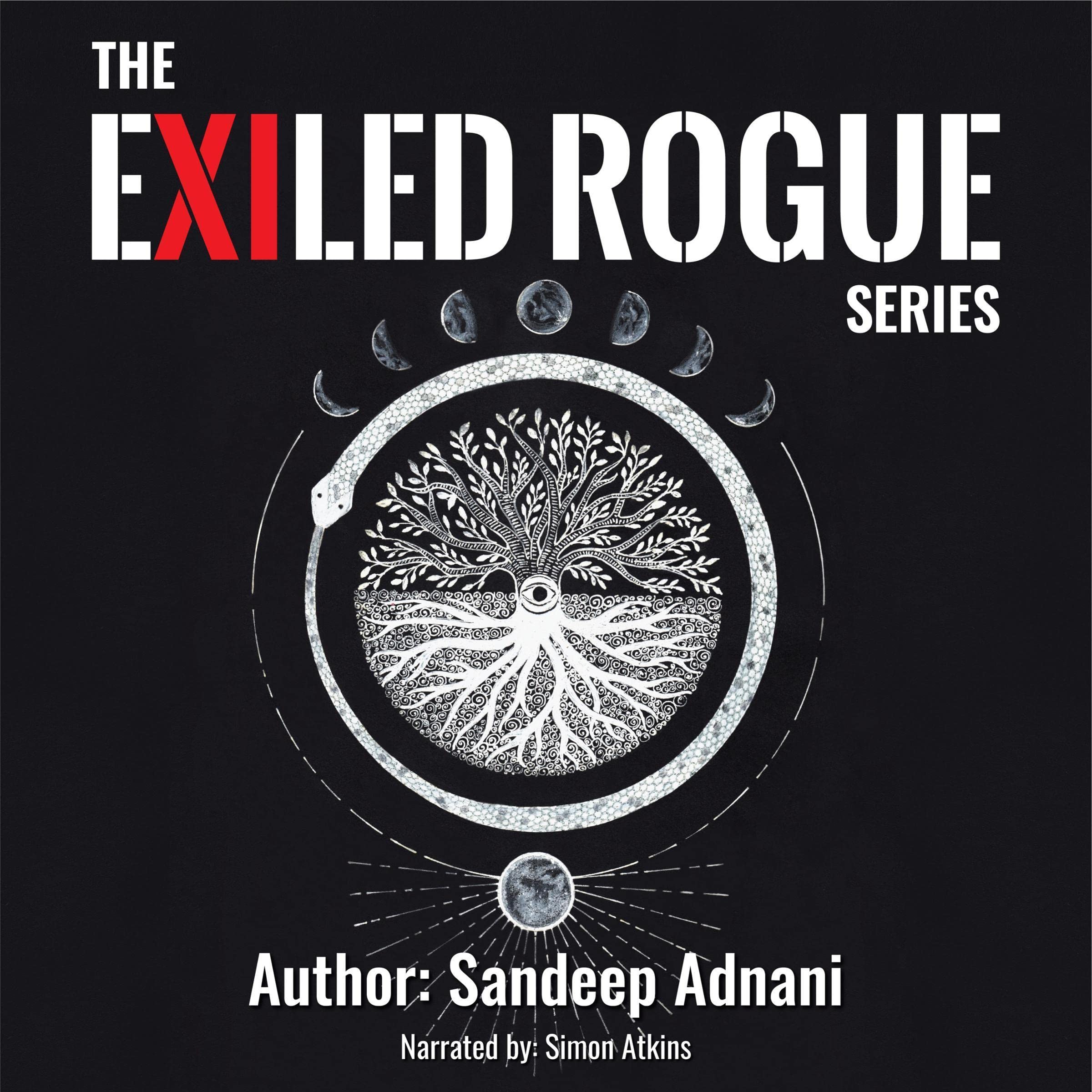 Cover art for The Exiled Rogue Series