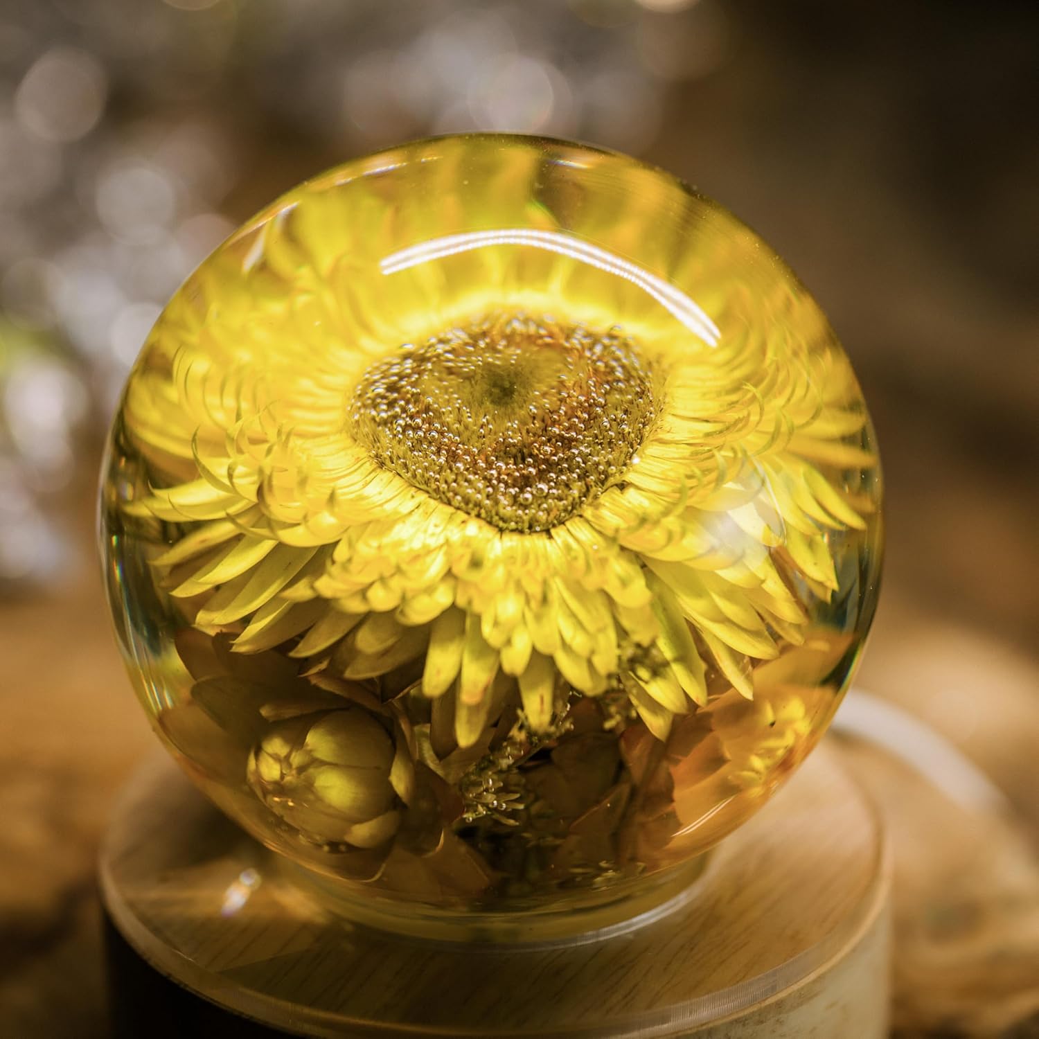 Handmade Resin Flower LED Lamp with Dried Flowers, Yellow Botanical Decorative Light, USB Powered