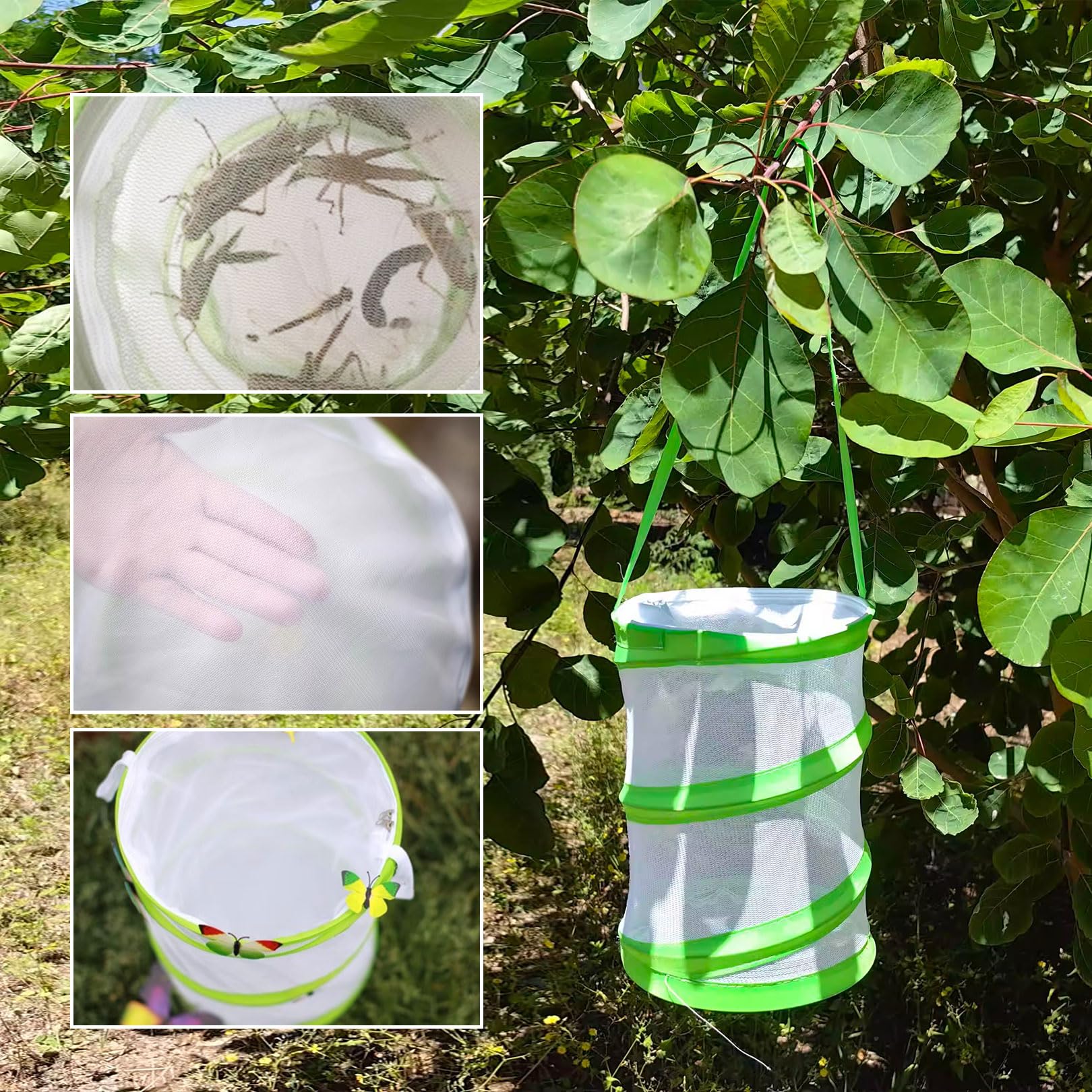 Filet papillon pour enfants, cage pliable pour insectes, habitat jardin éducatif