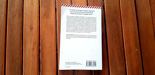 Amazon.it Saggio sulla lucidità Saramago, José, Desti, R. Libri