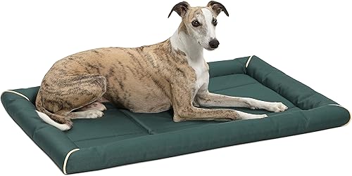 Miniatura 22 de MidWest Homes for Pets Medium QuietTime MAXX - Cama para perros ultra resistente, resistente al agua y olores, borde acolchado, fondo Negro