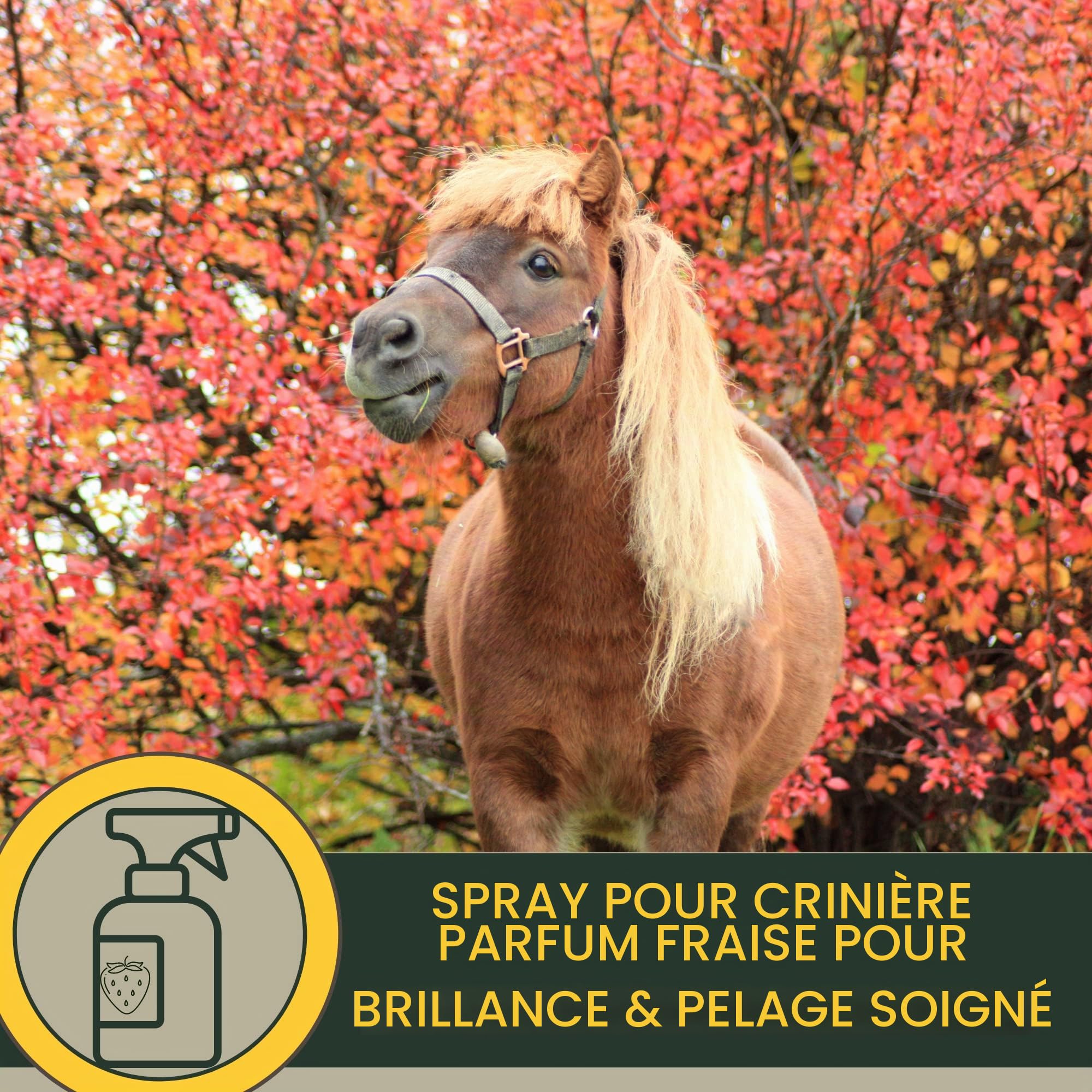 Spray pour crinière de cheval I Spray pailleté pour robe et poils longs I graisse pailleté I Kit de soins pour chevaux 3 pièces enfants I Spray pour queue rose I spray avec paillettes 500ml 2*250ml