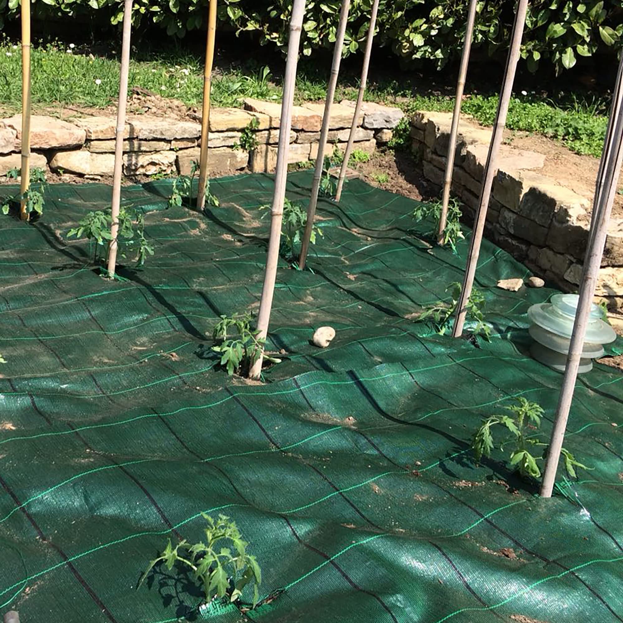 TENAX Tela Antihierbas Cover Pro 1,05x100 m Verde, Tela Anti Maleza para Acolchamiento de Jardines y Huertas, Impide el Crecimiento de Las Malas Hierbas Garantizando la Calidad de los Cultivos