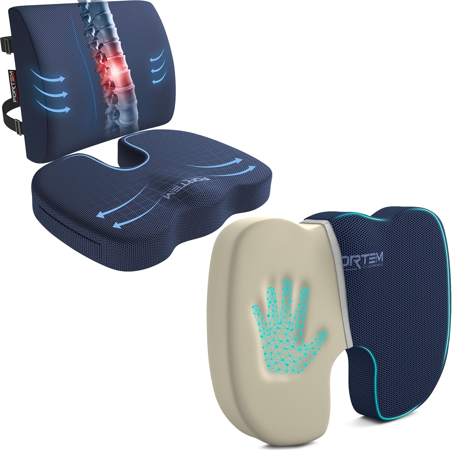 FORTEM Seat Cushion and Lumbar Support (Blue, Mesh) + Chair