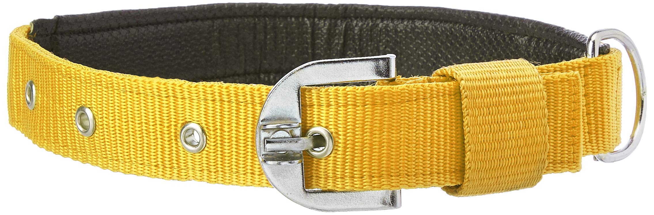 Munchos High Soft Quality Padded Everyday Dog Collar (Colour May Vary) (1 Inchi (Medium))
