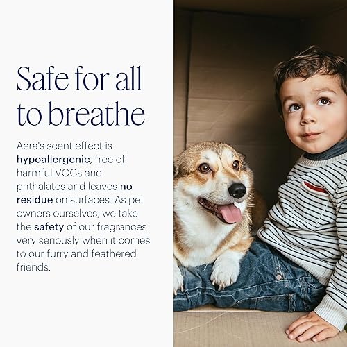 Miniatura 5 de Aera Difusor de fragancia de aceites esenciales para el hogar, enchufe inteligente de aromaterapia eléctrico sin agua, Wi-Fi y aplicación/control