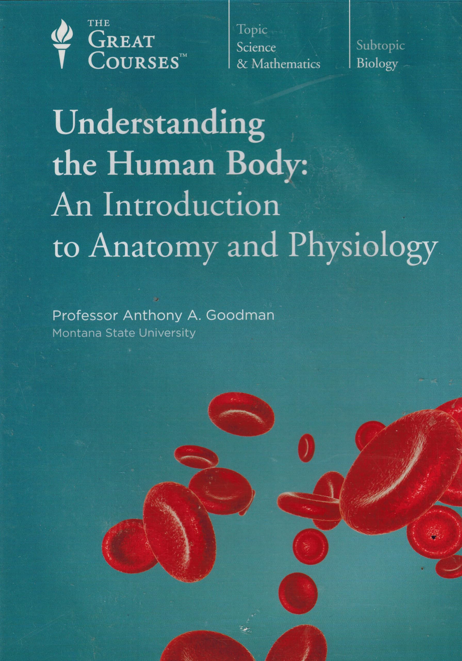 Amazon.com: Understanding the Human Body: An Introduction to Anatomy ...